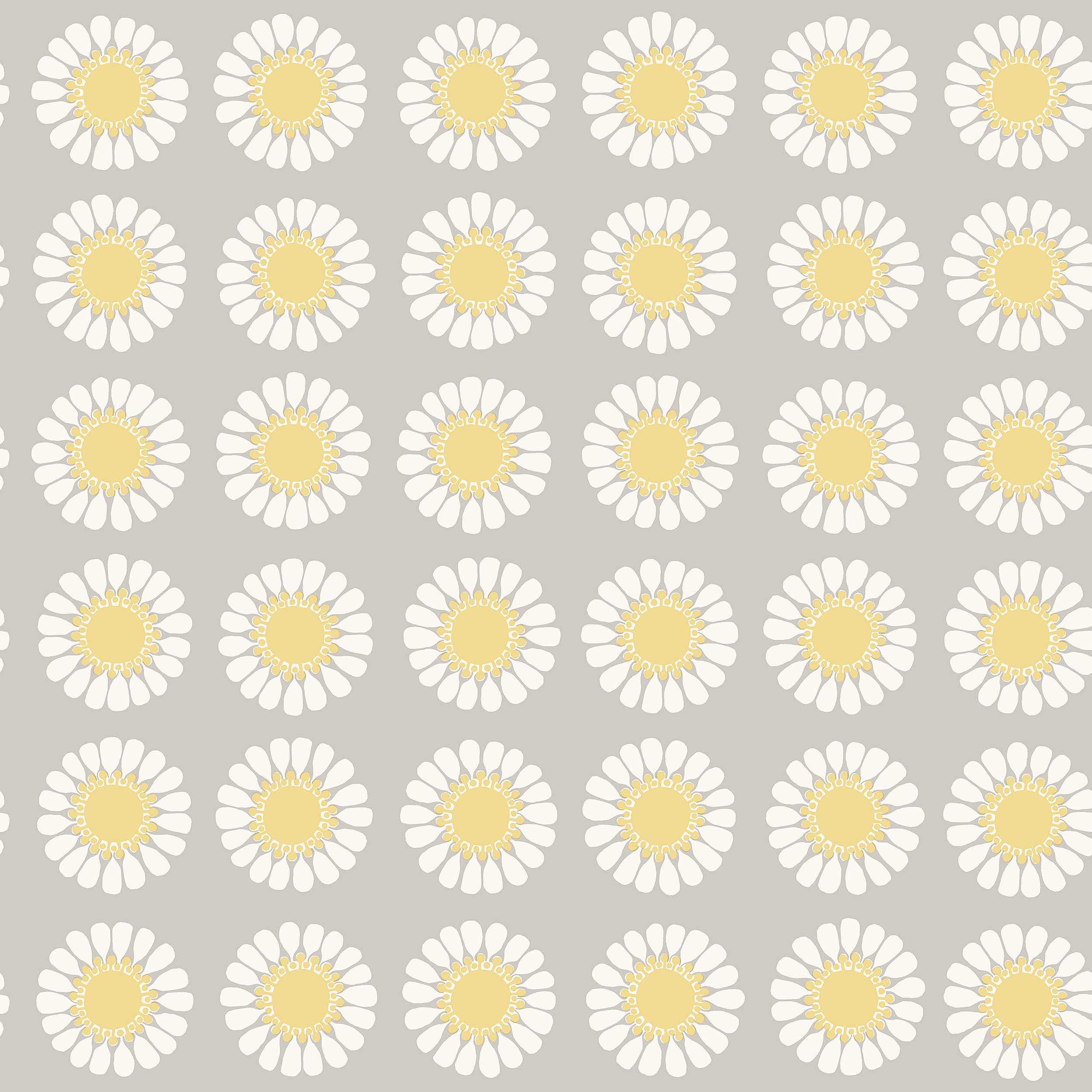 1382_TuriGramstadOliver_Daisy_Closeup.jpg