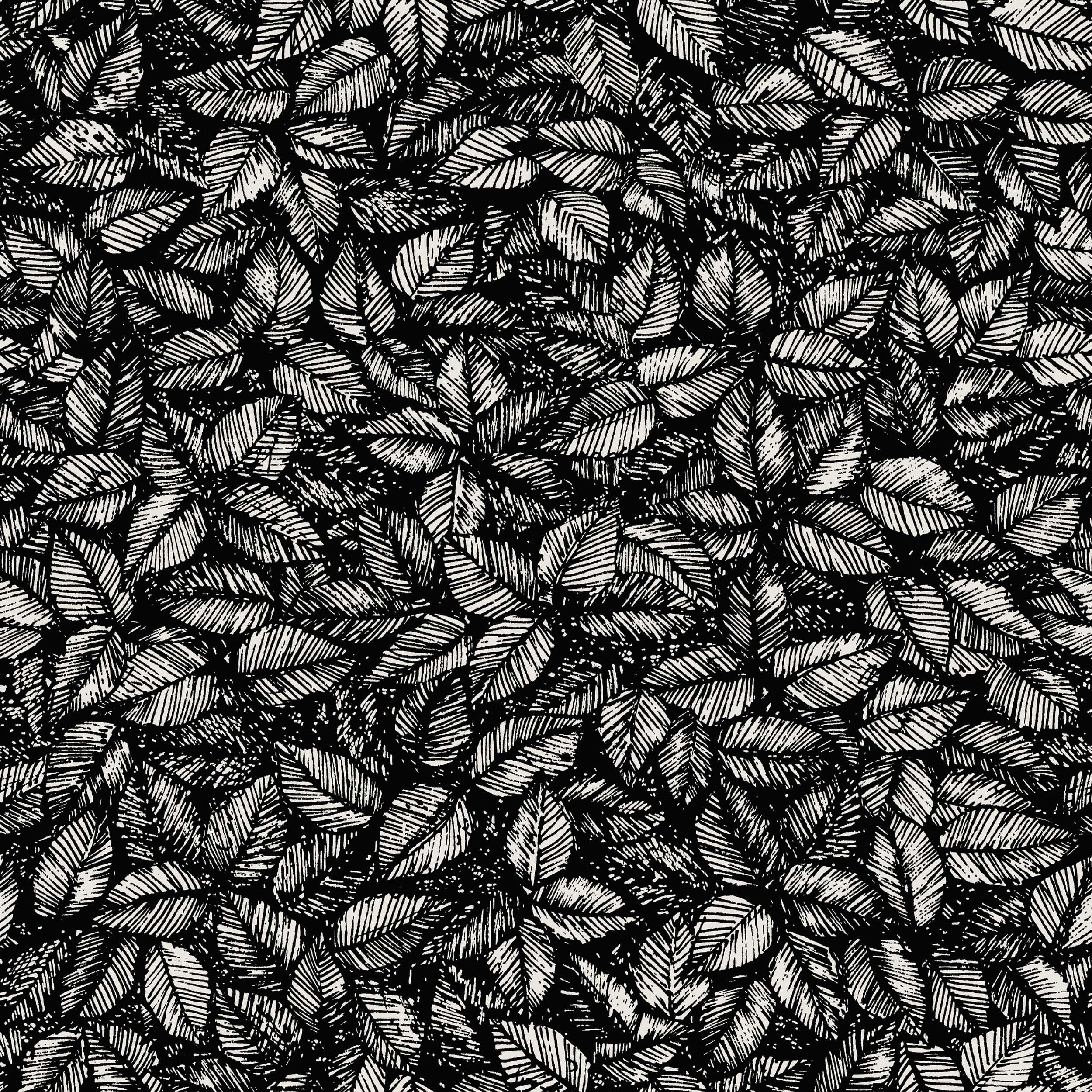 1773_Amorina_Closeup.jpg