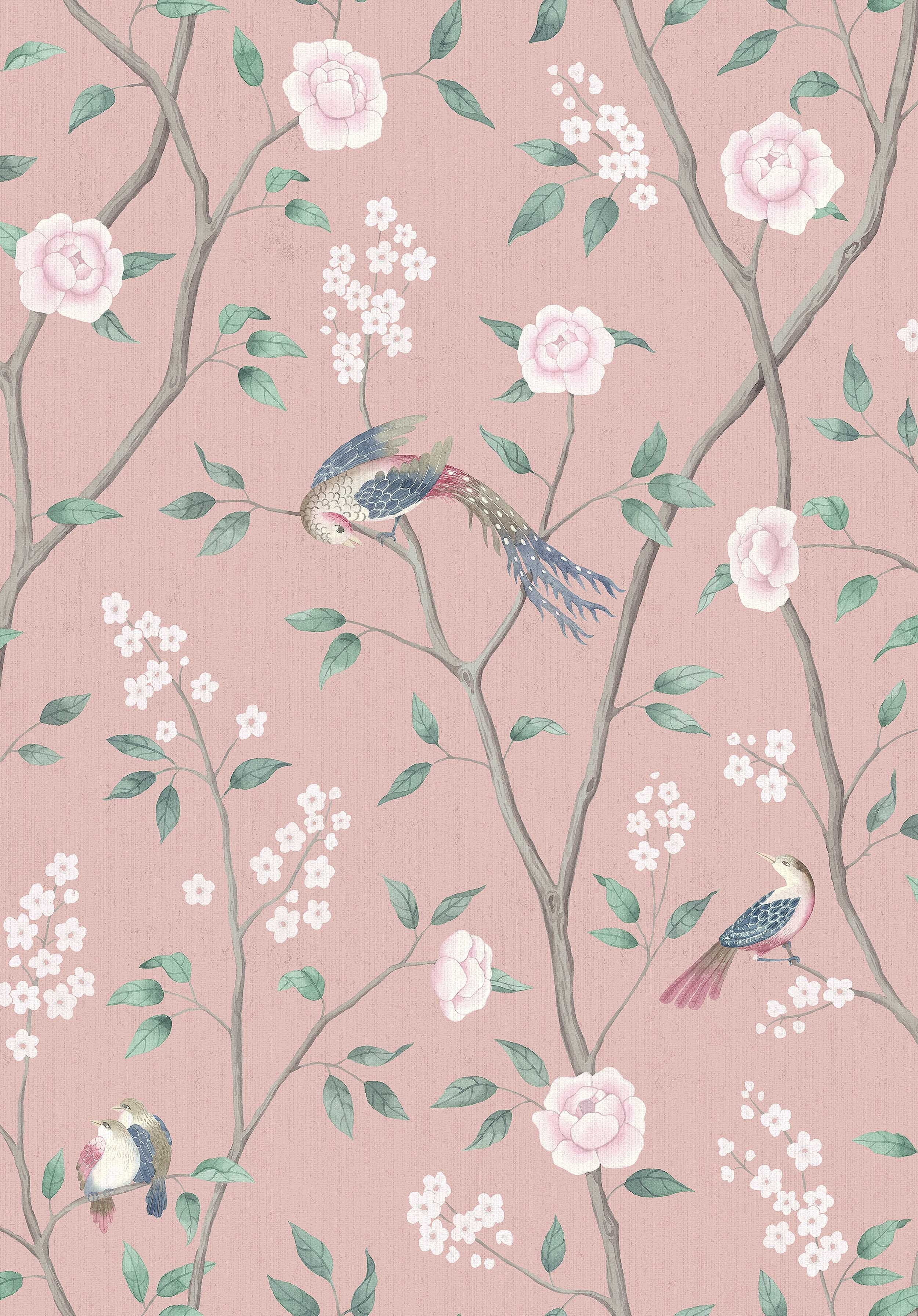 1901_ParadiseBirds_Closeup.jpg