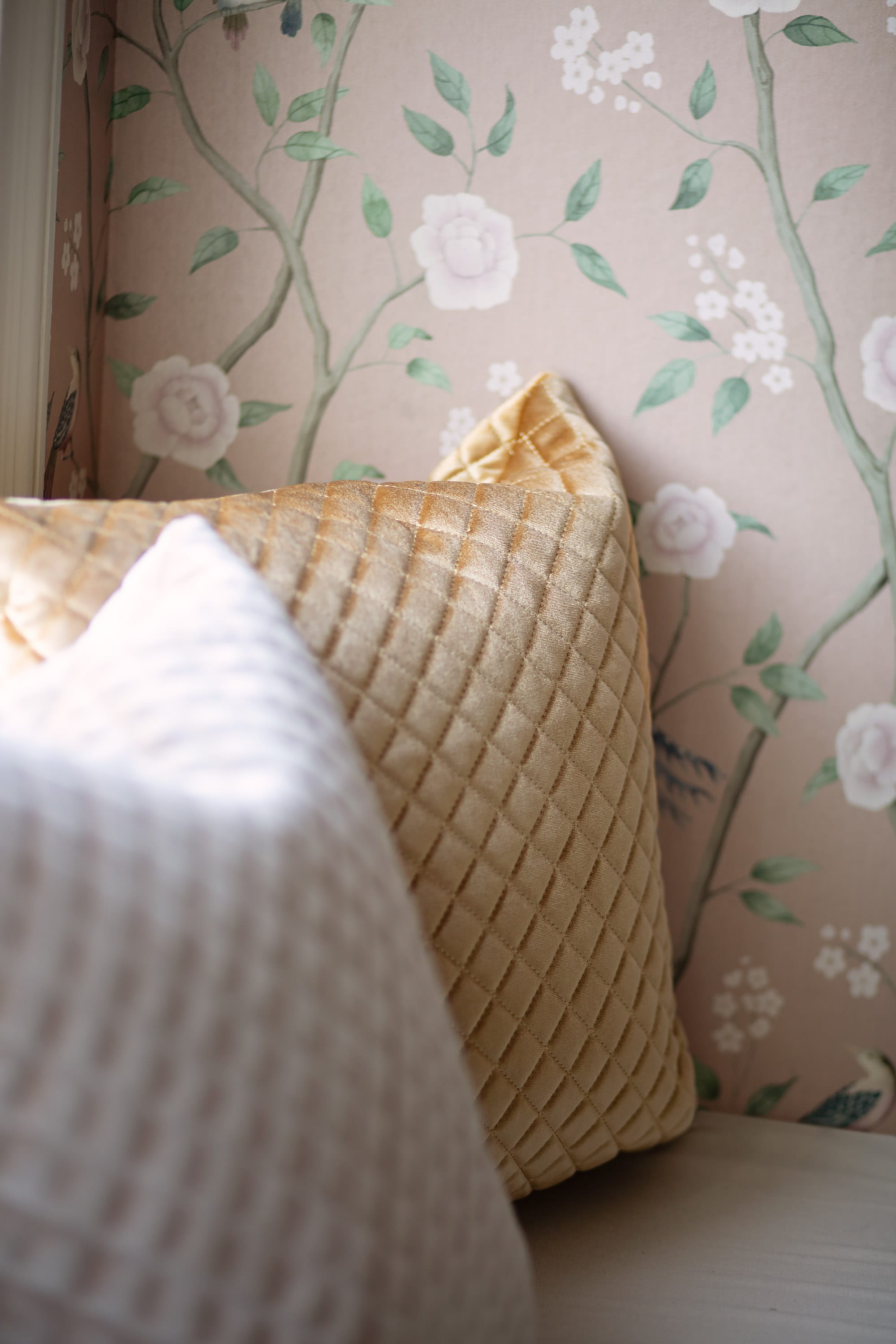 1901_ParadiseBirds_Roomshot_4.jpg