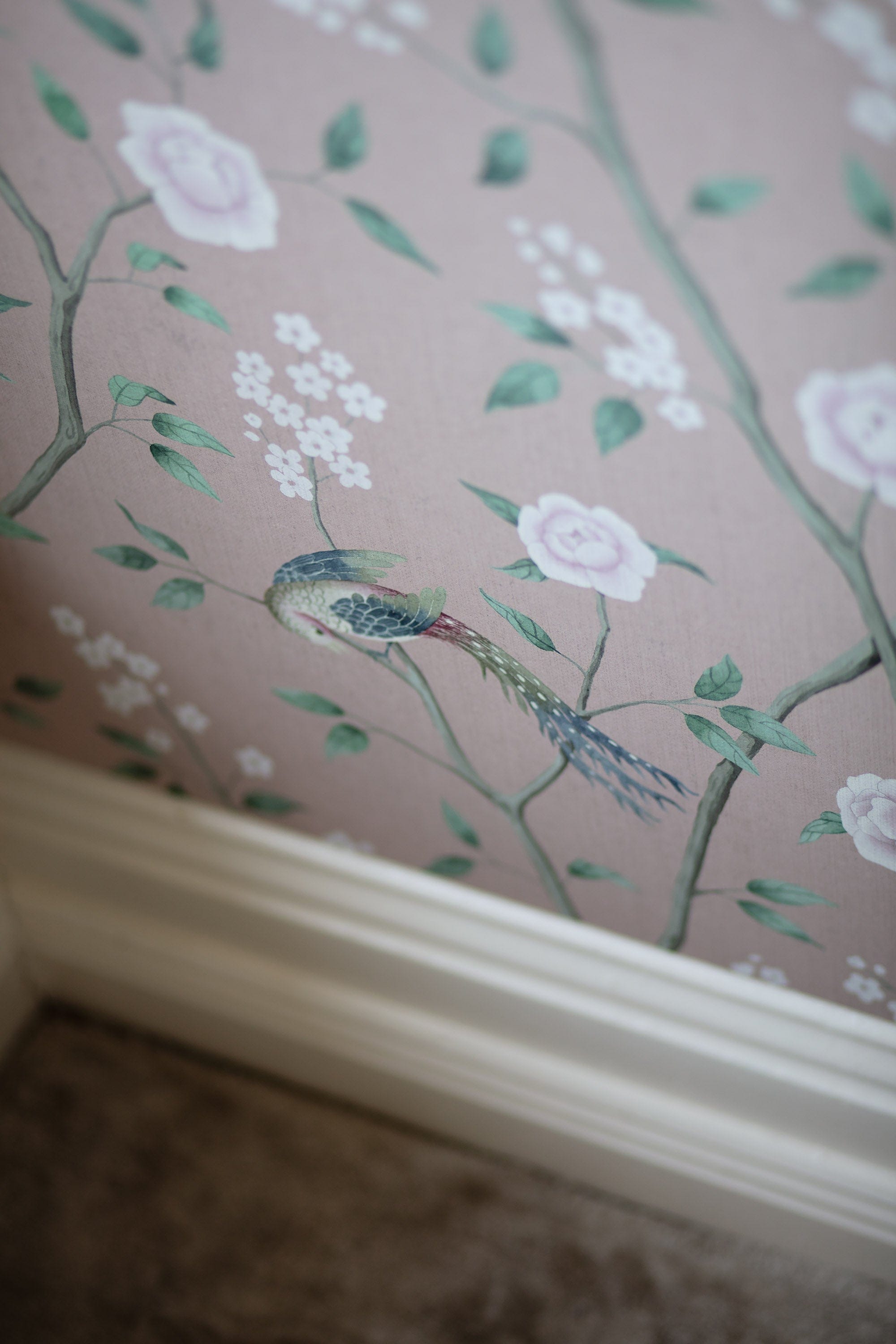 1901_ParadiseBirds_Roomshot_5.jpg