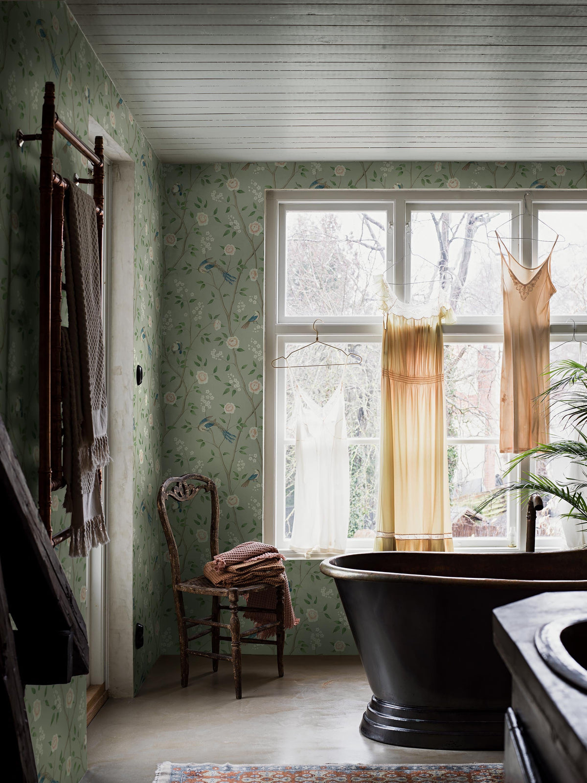 1903_ParadiseBirds_Roomshot_3.jpg