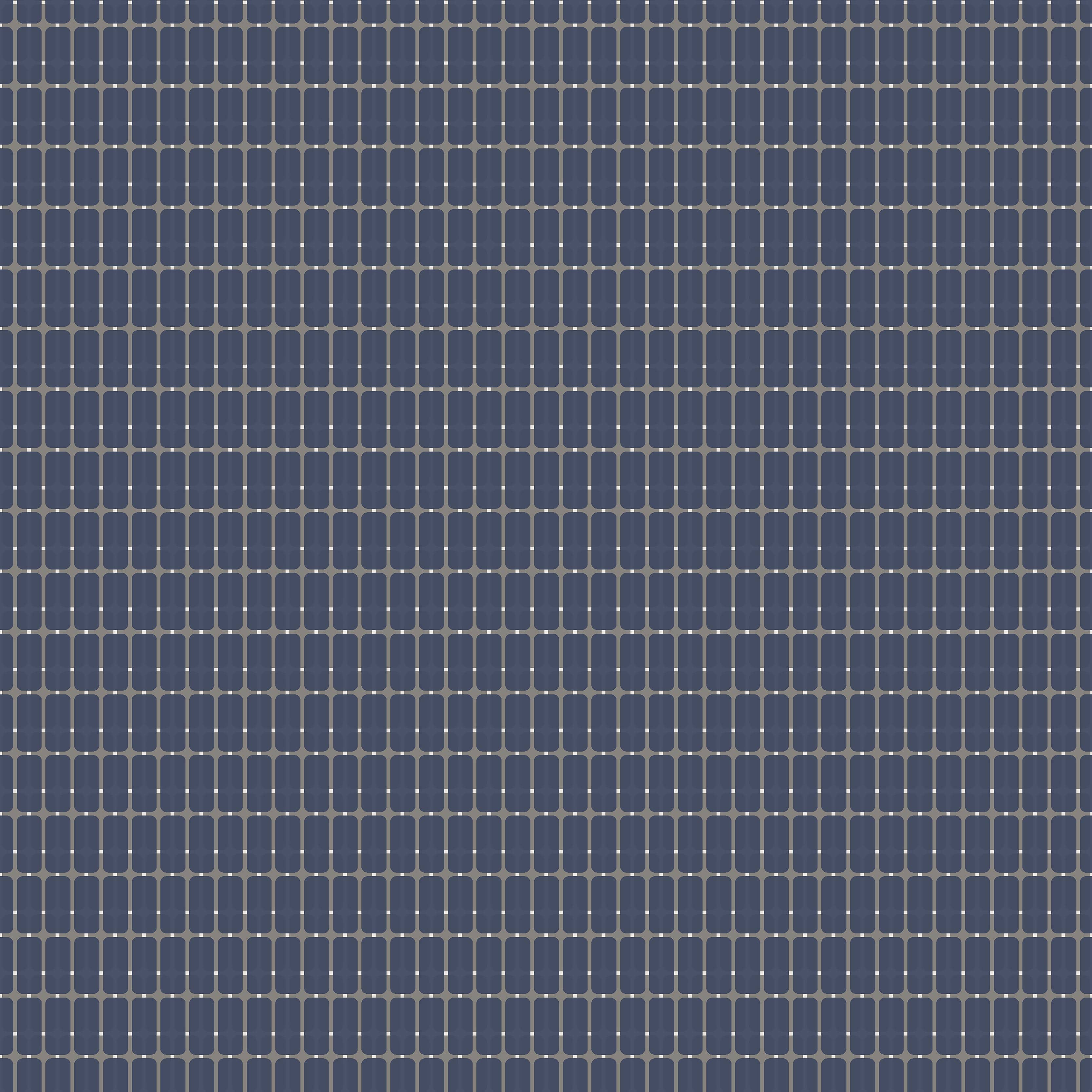 1965_M.I.T_Closeup.jpg