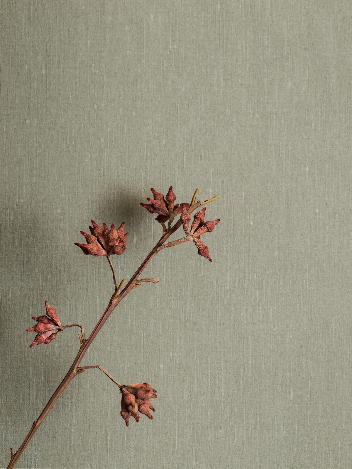 4335_Soft_Olive-6_Roomshot_DiningArea.jpg
