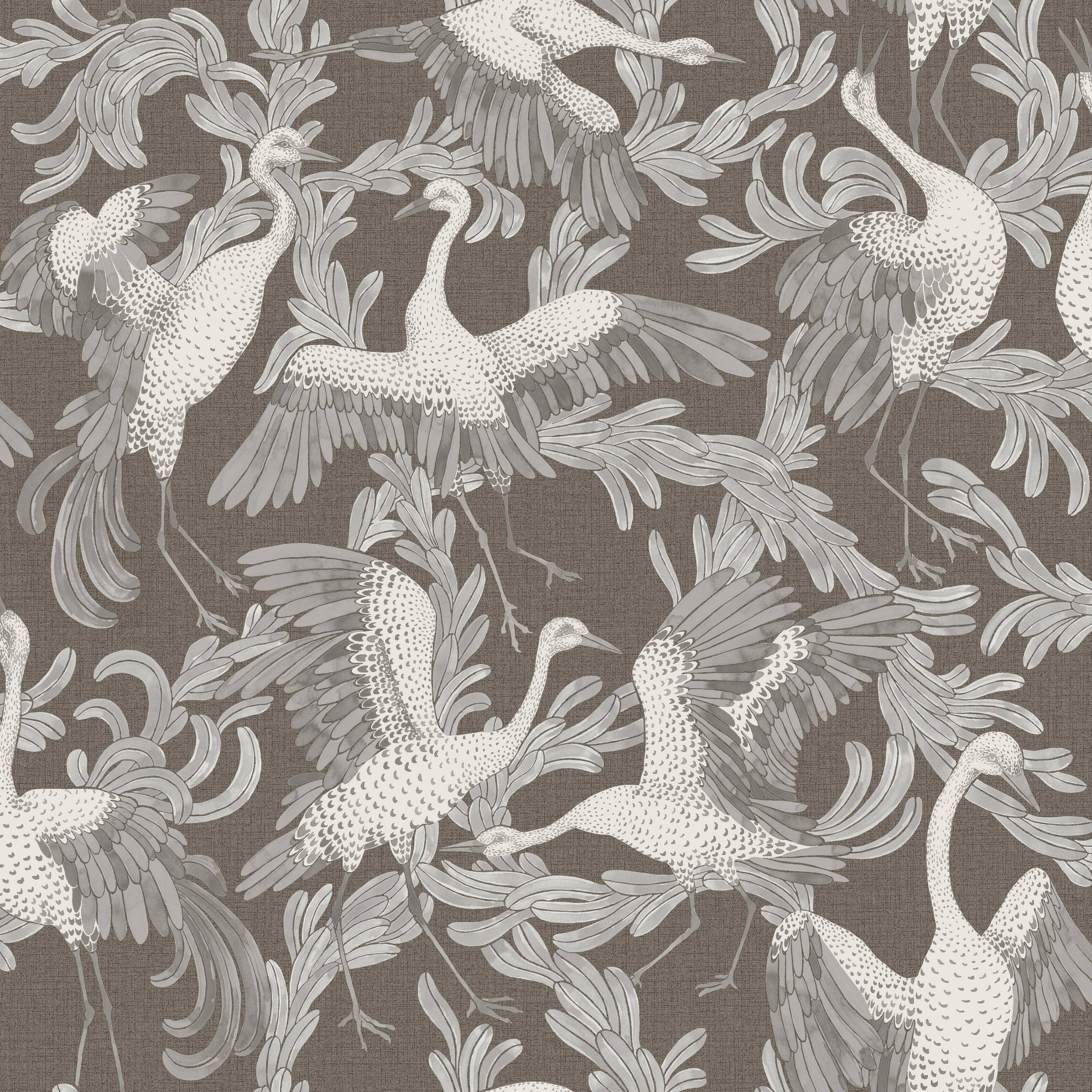 4582_Dancing_Crane_Closeup.jpg