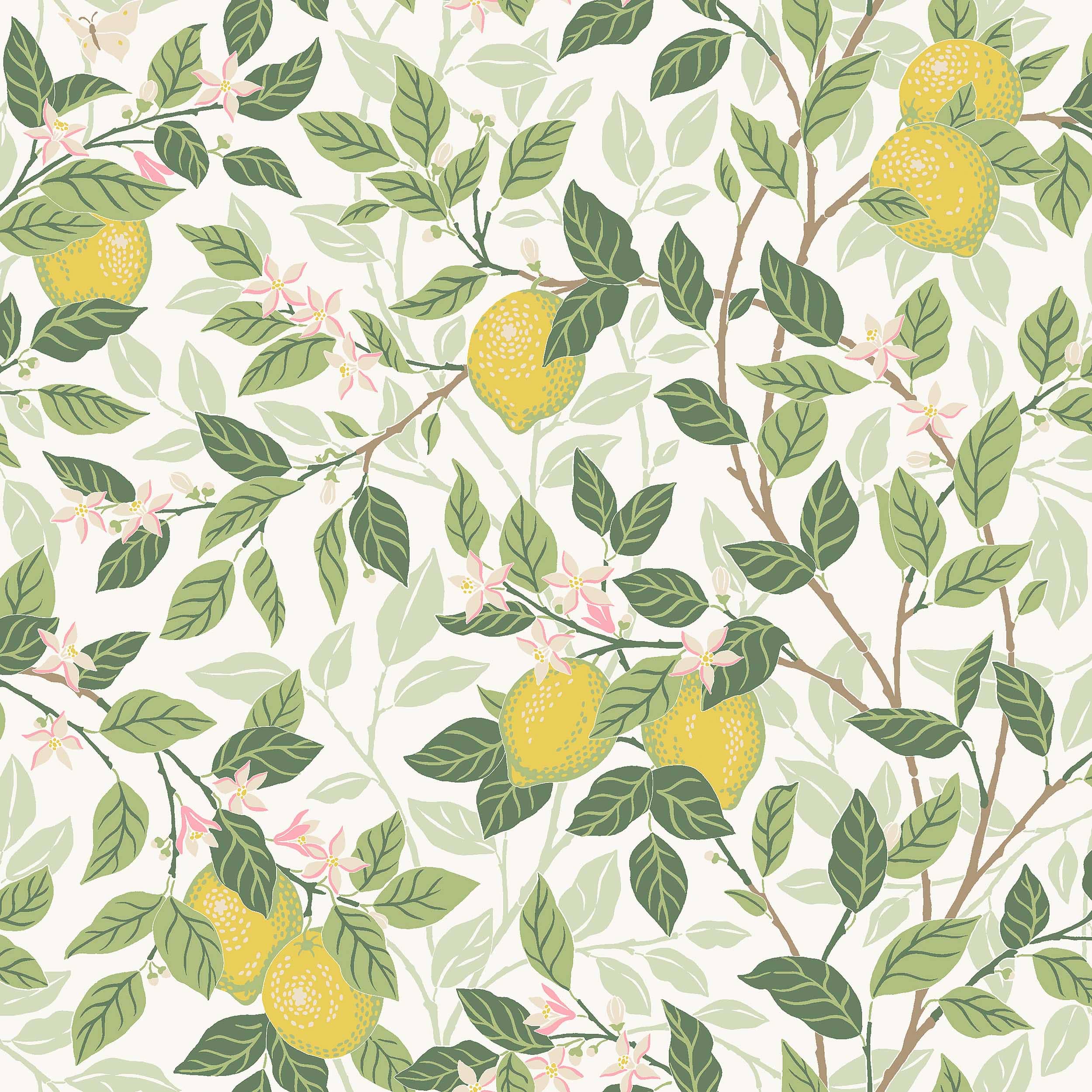 5702_Citrontrad_Closeup.jpg