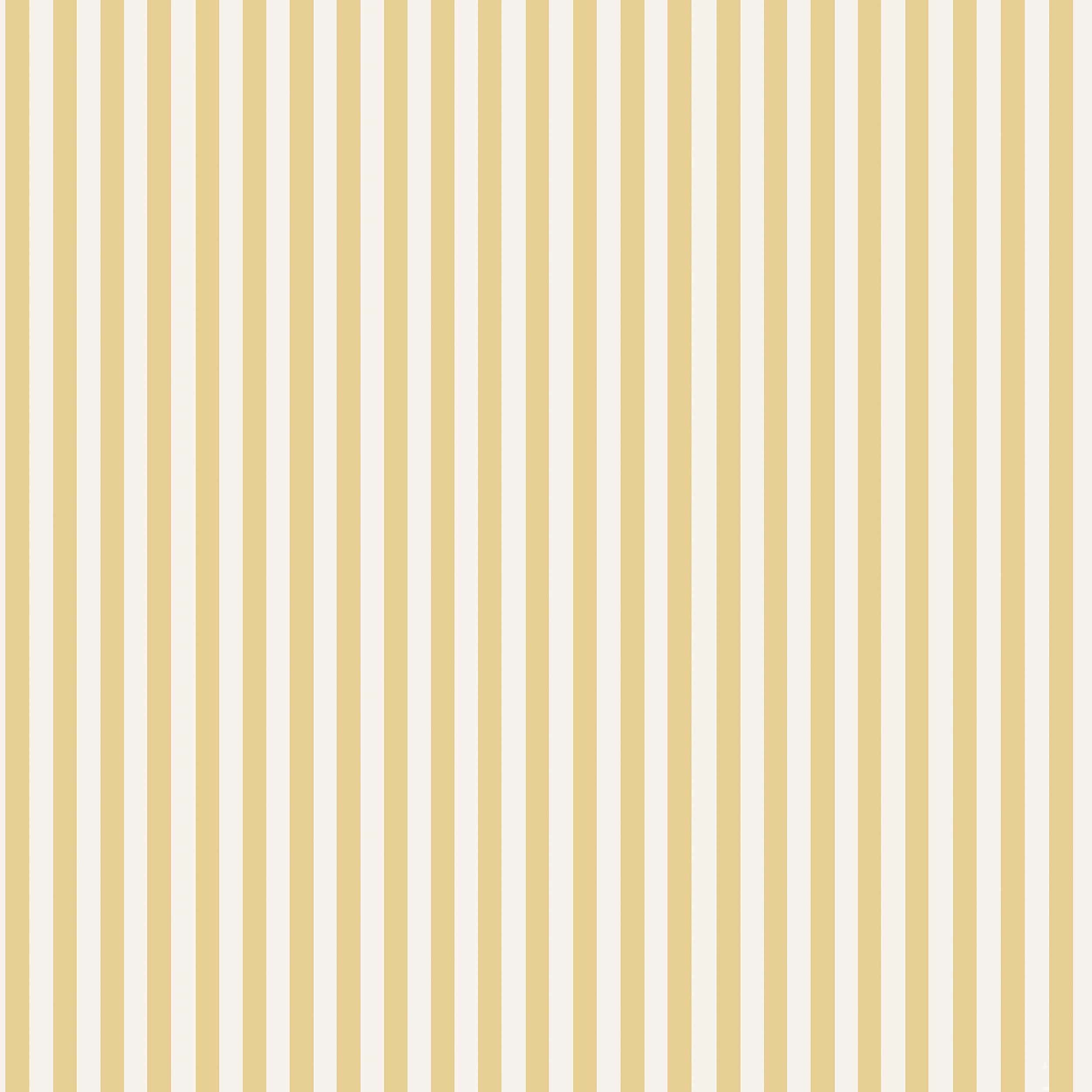 5735_MölleStripe_Closeup.jpg