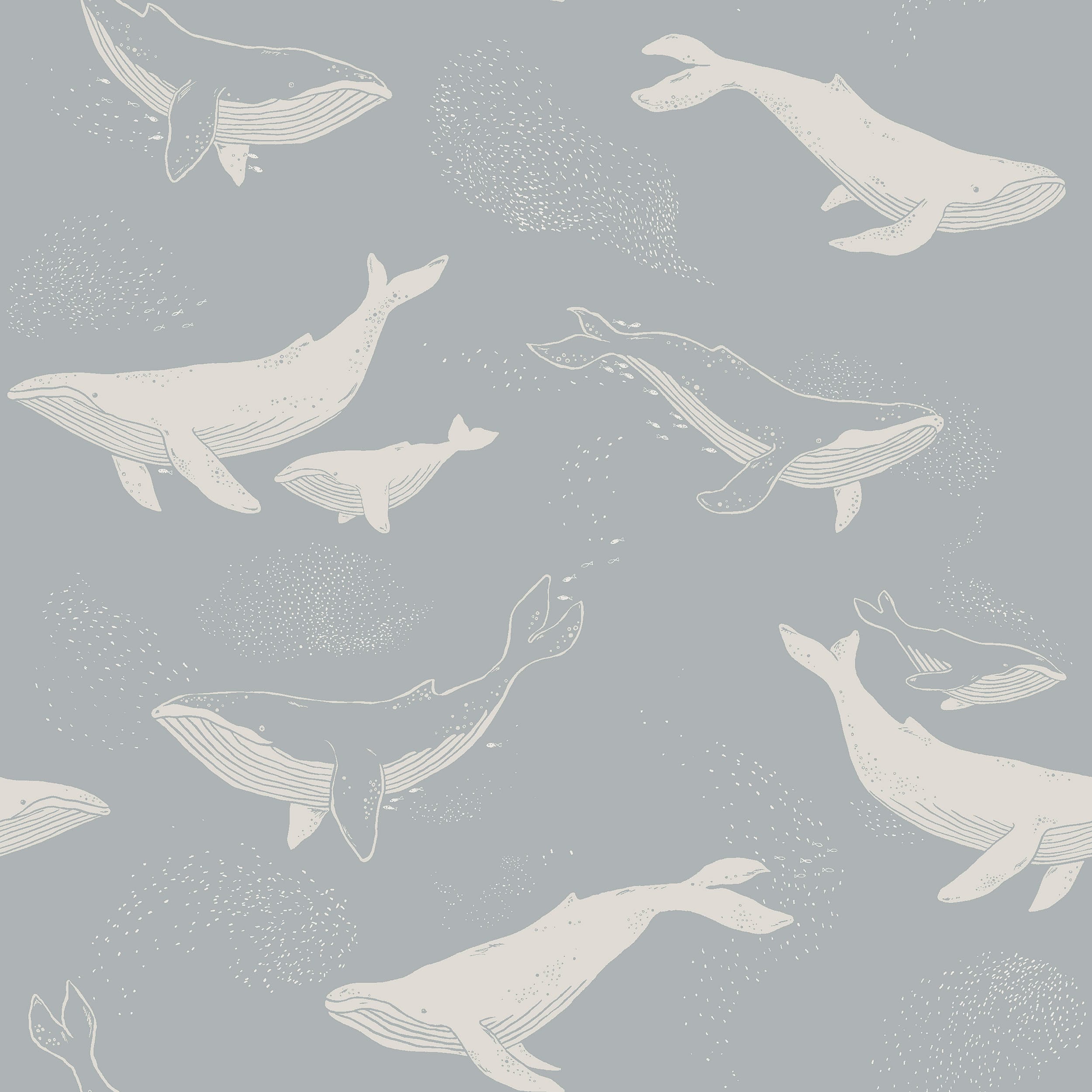 6942_Whales_Closeup.jpg