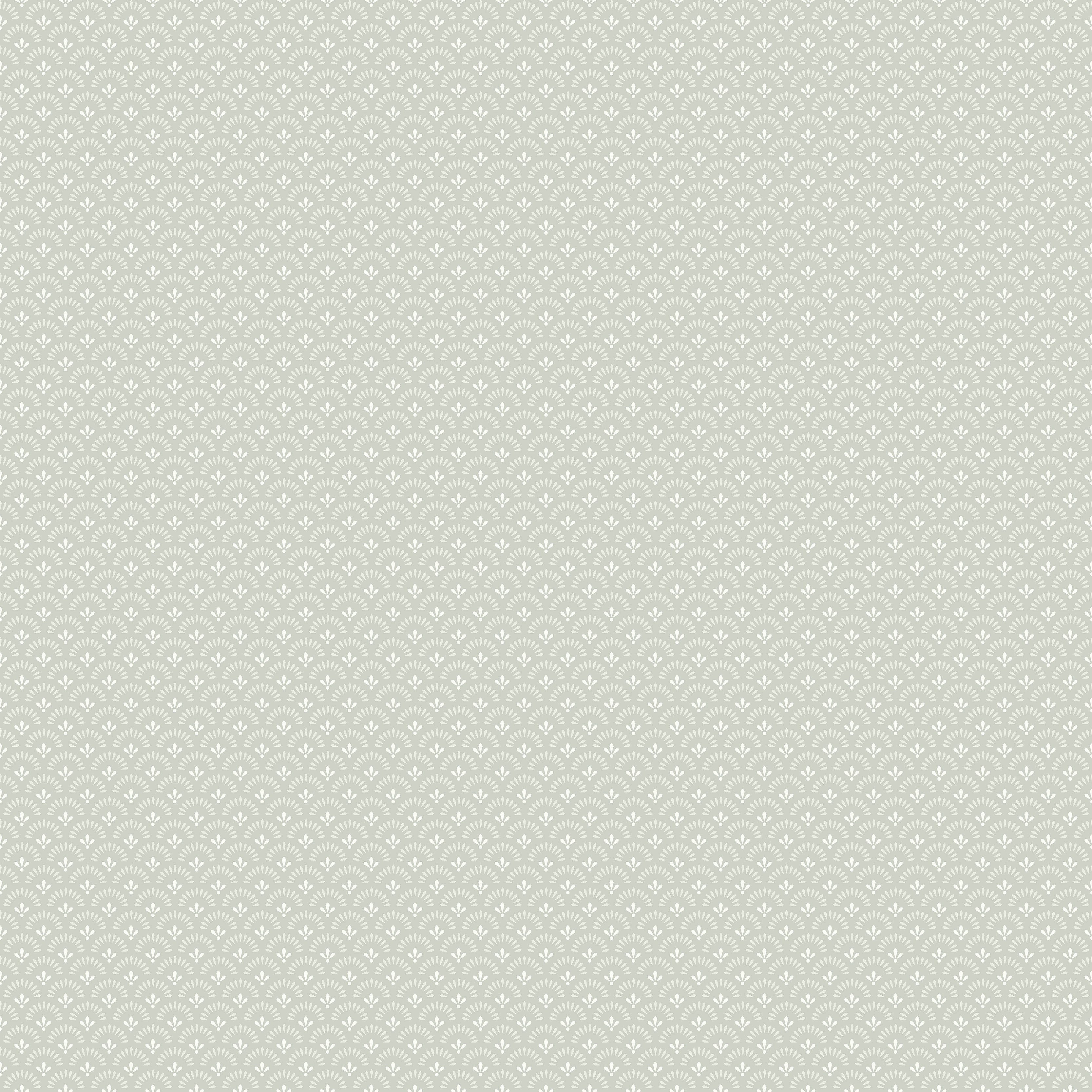 7654_Daisy_Closeup.jpg