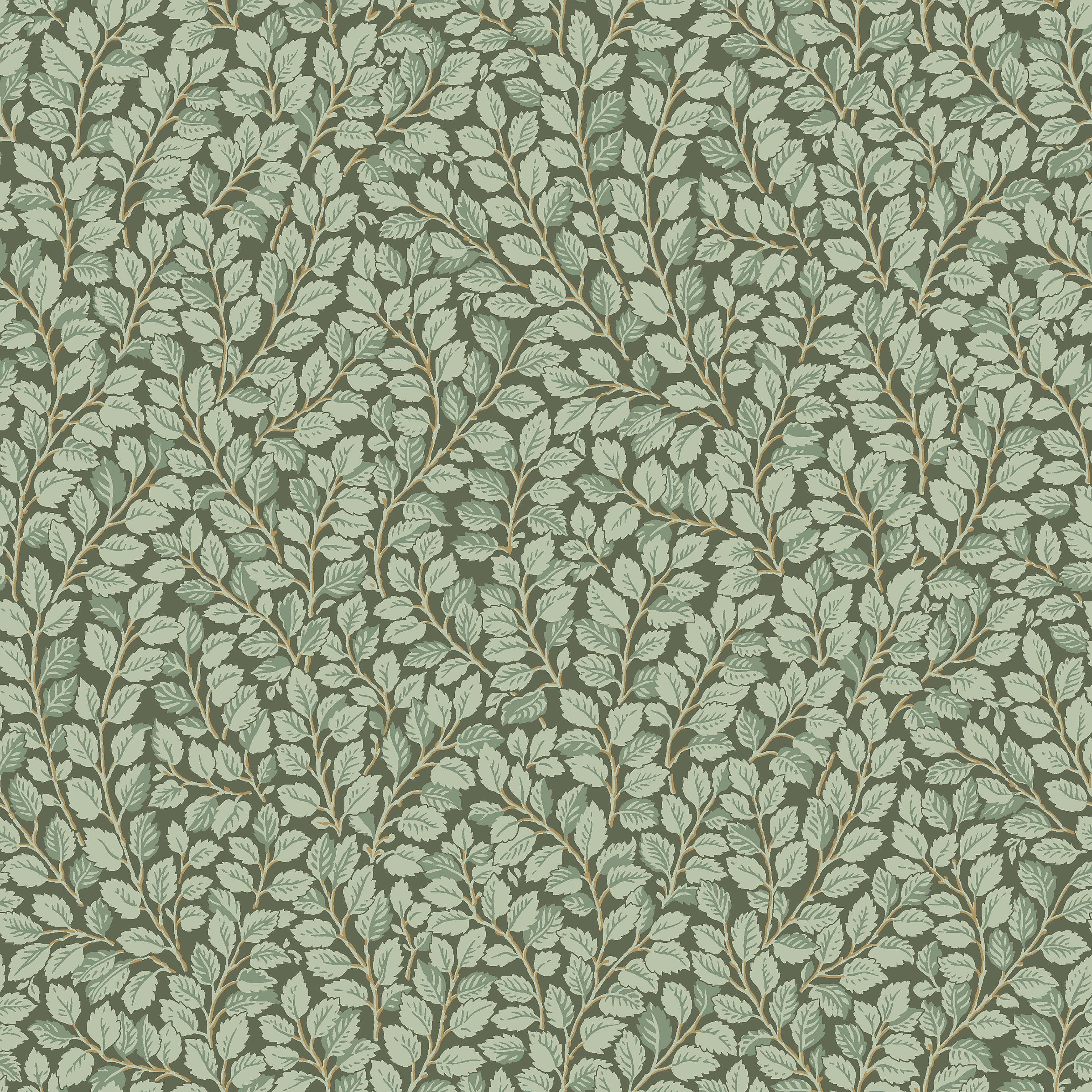7663_Hazel_Closeup.jpg