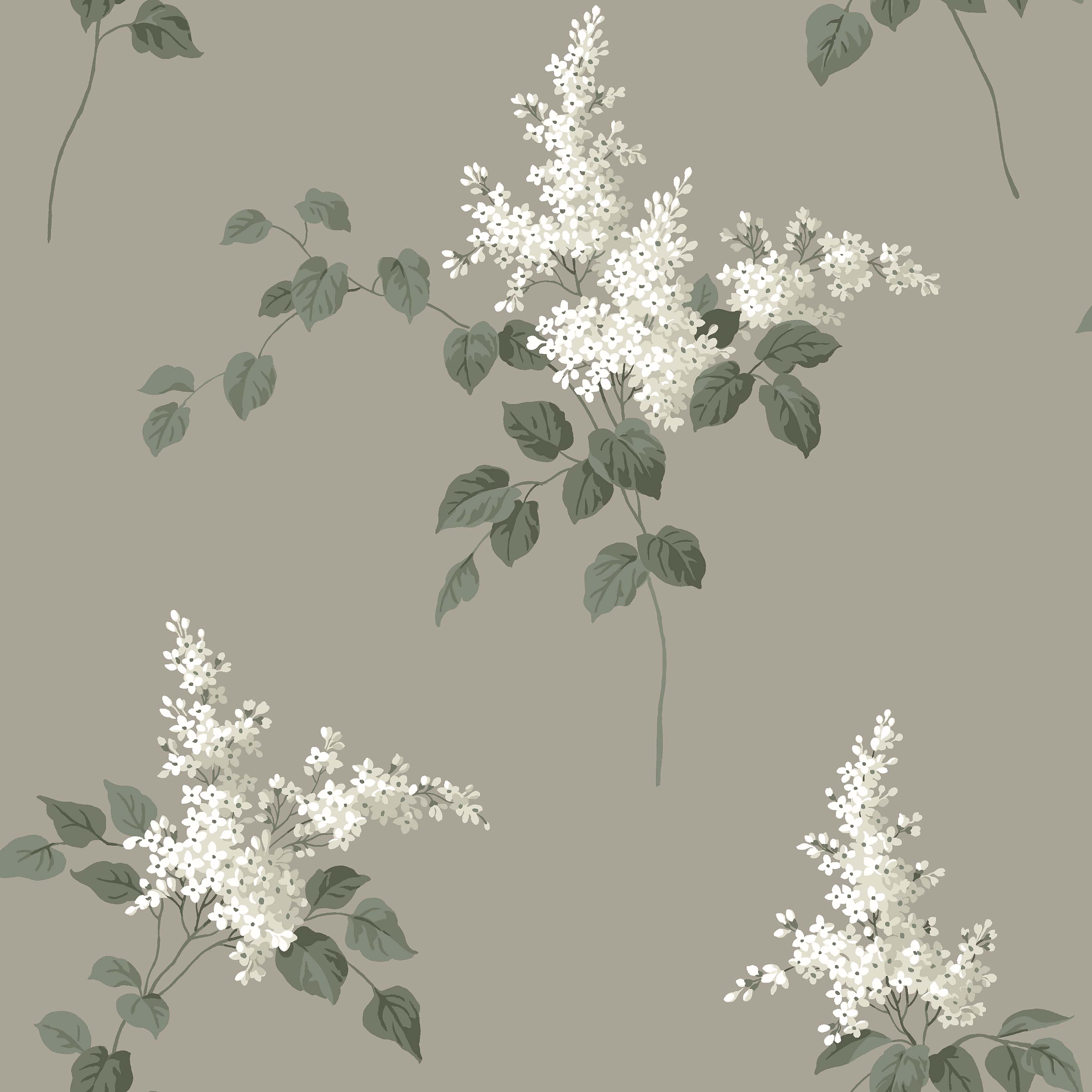 7667_Lilacs_Closeup.jpg