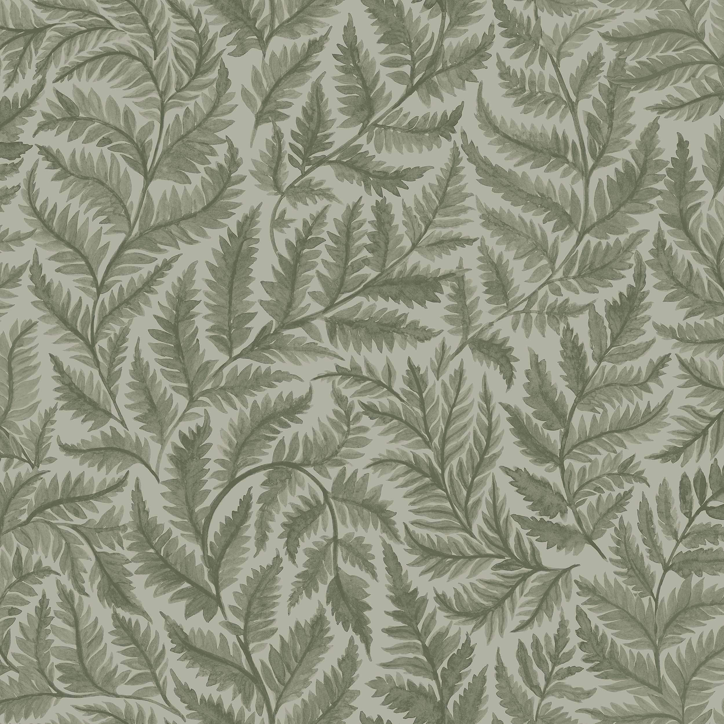 7792_Ferns_Closeup.jpg