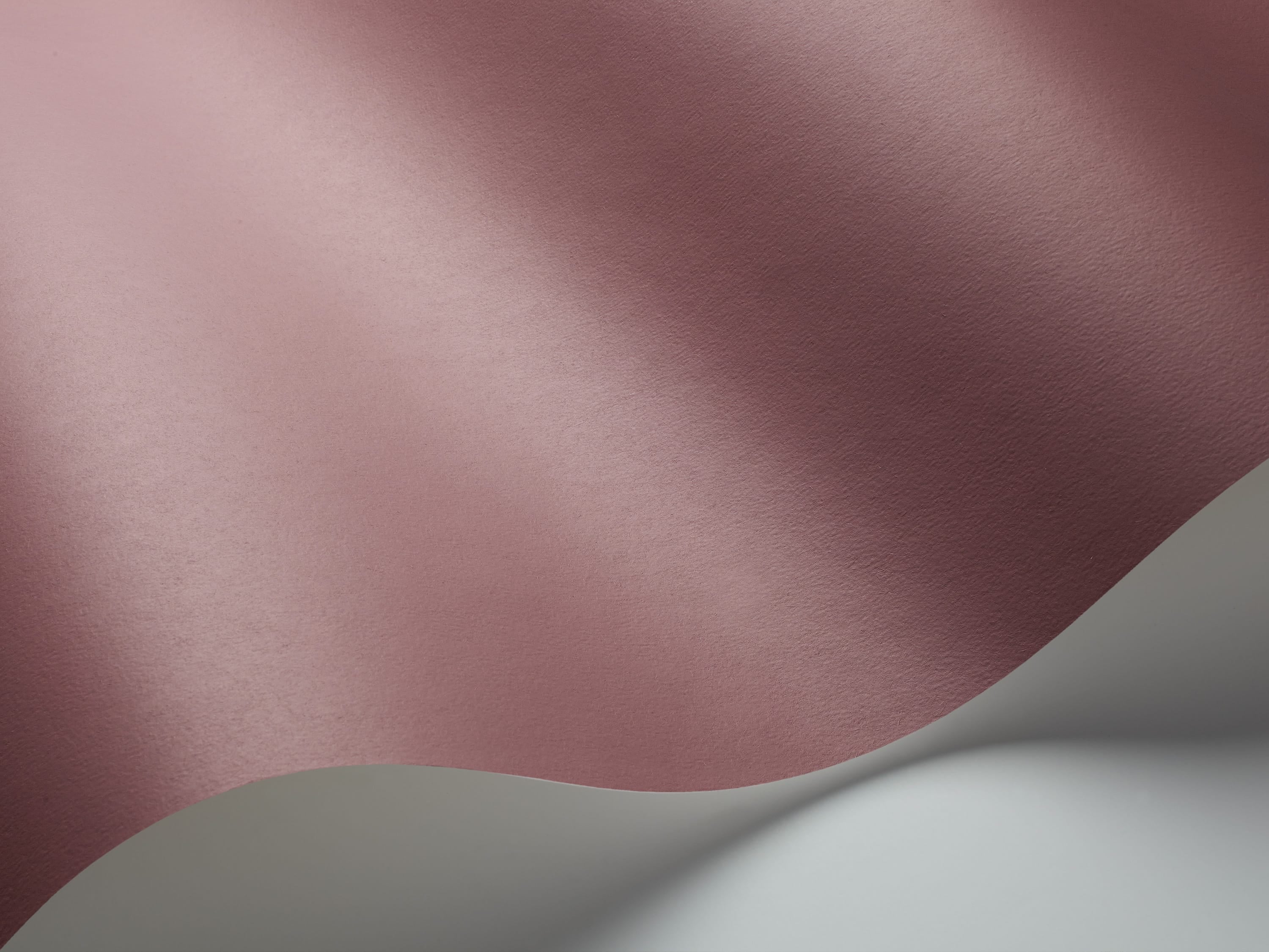 7928_Pigment_WaveImage.jpg