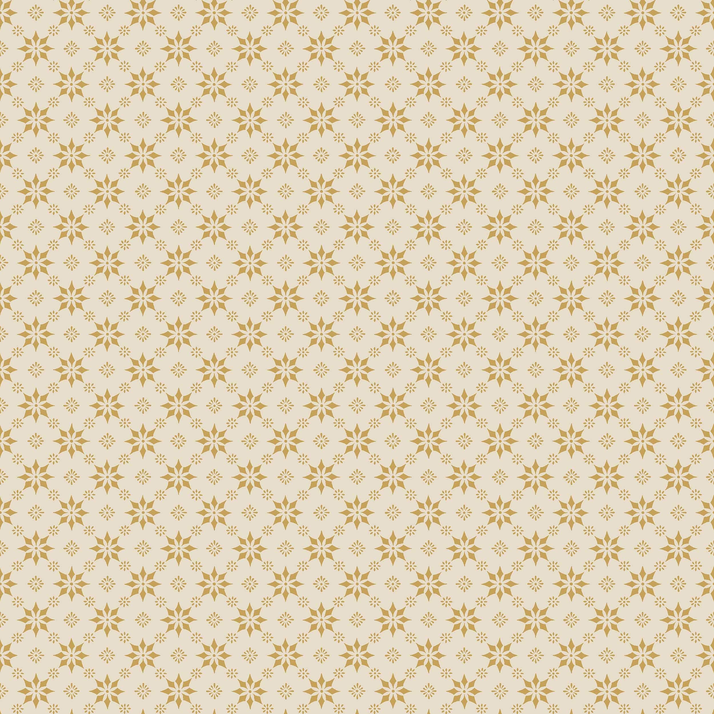 8066_Stella_Closeup.jpg
