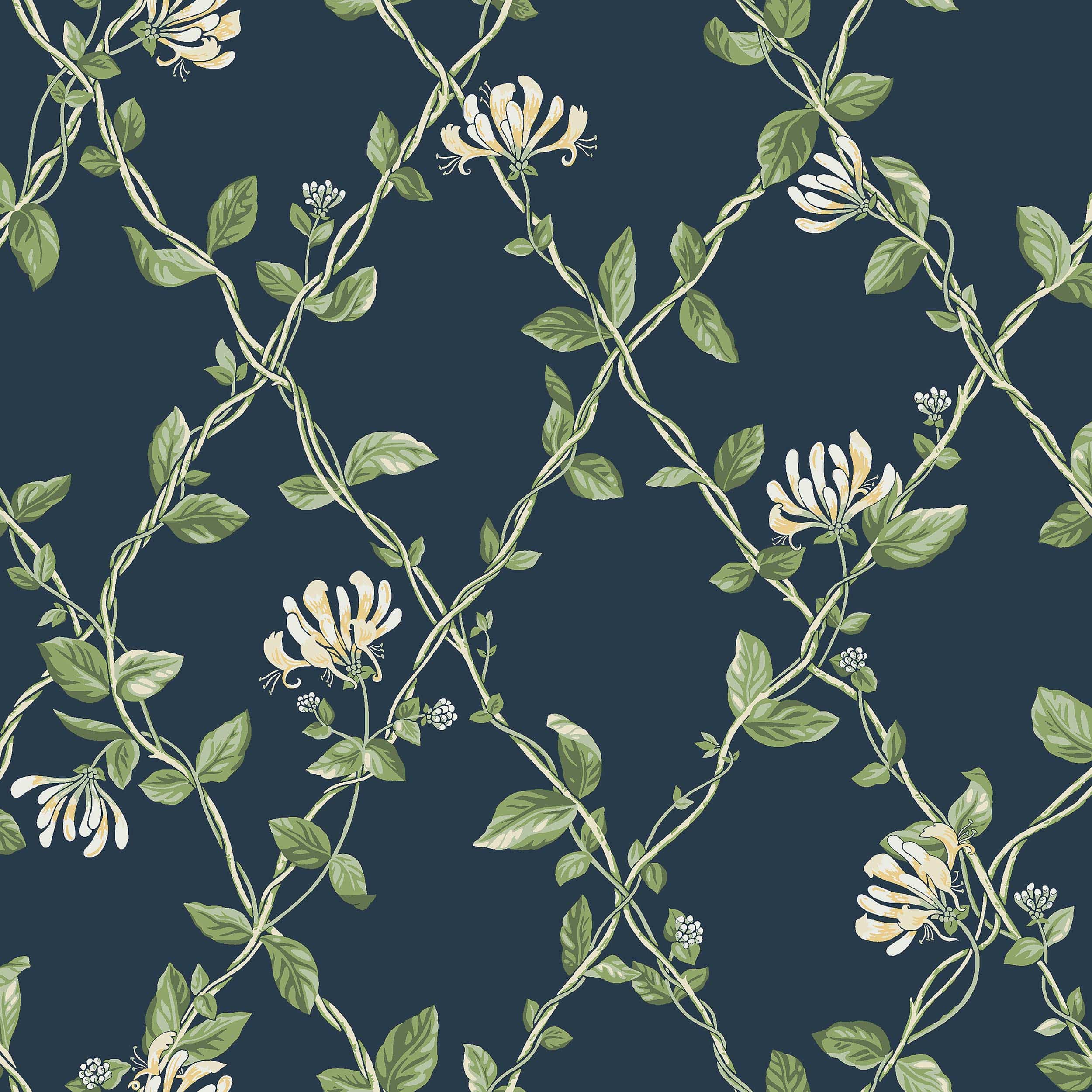 8851_Honeysuckle_Closeup.jpg