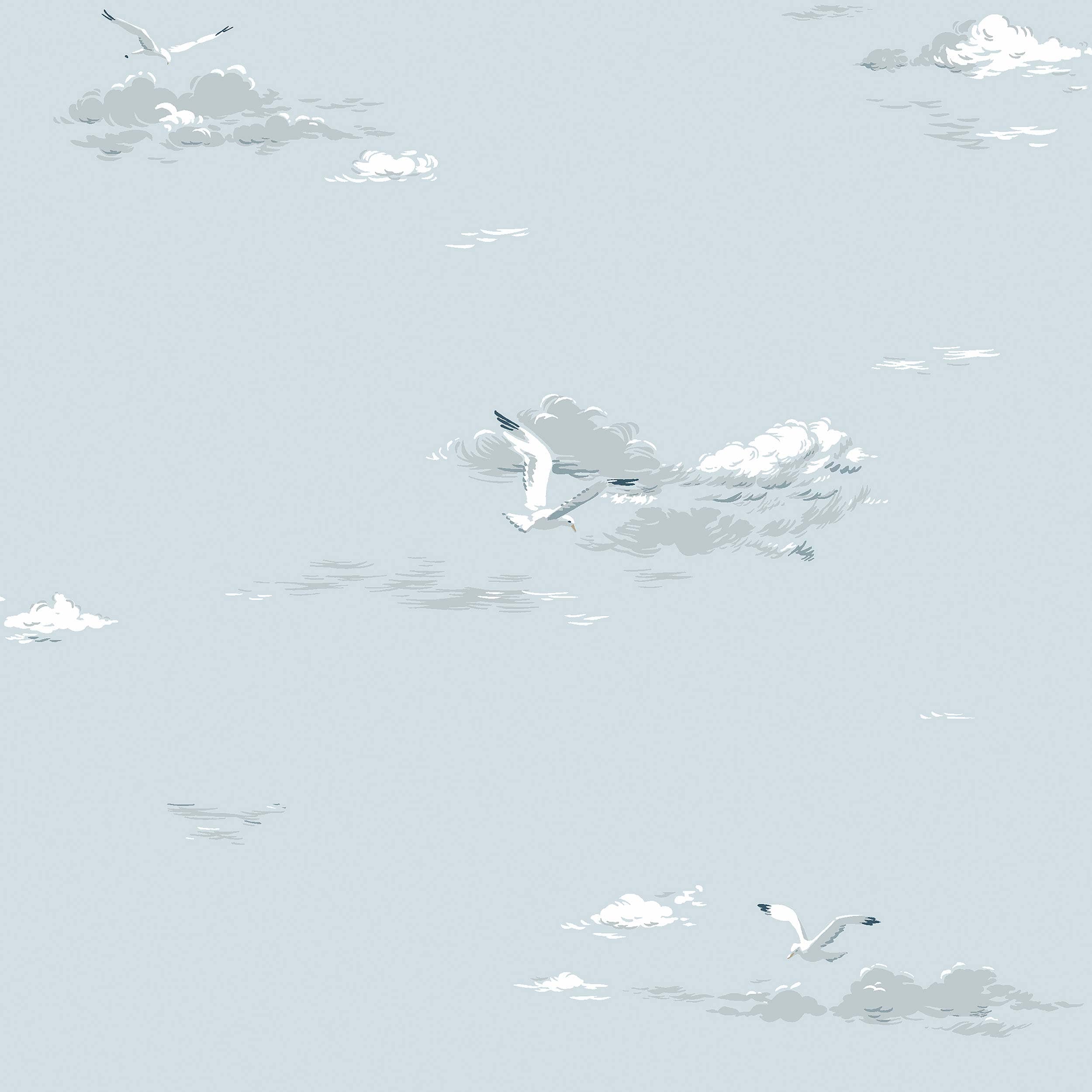 8856_Seaguls_Closeup.jpg