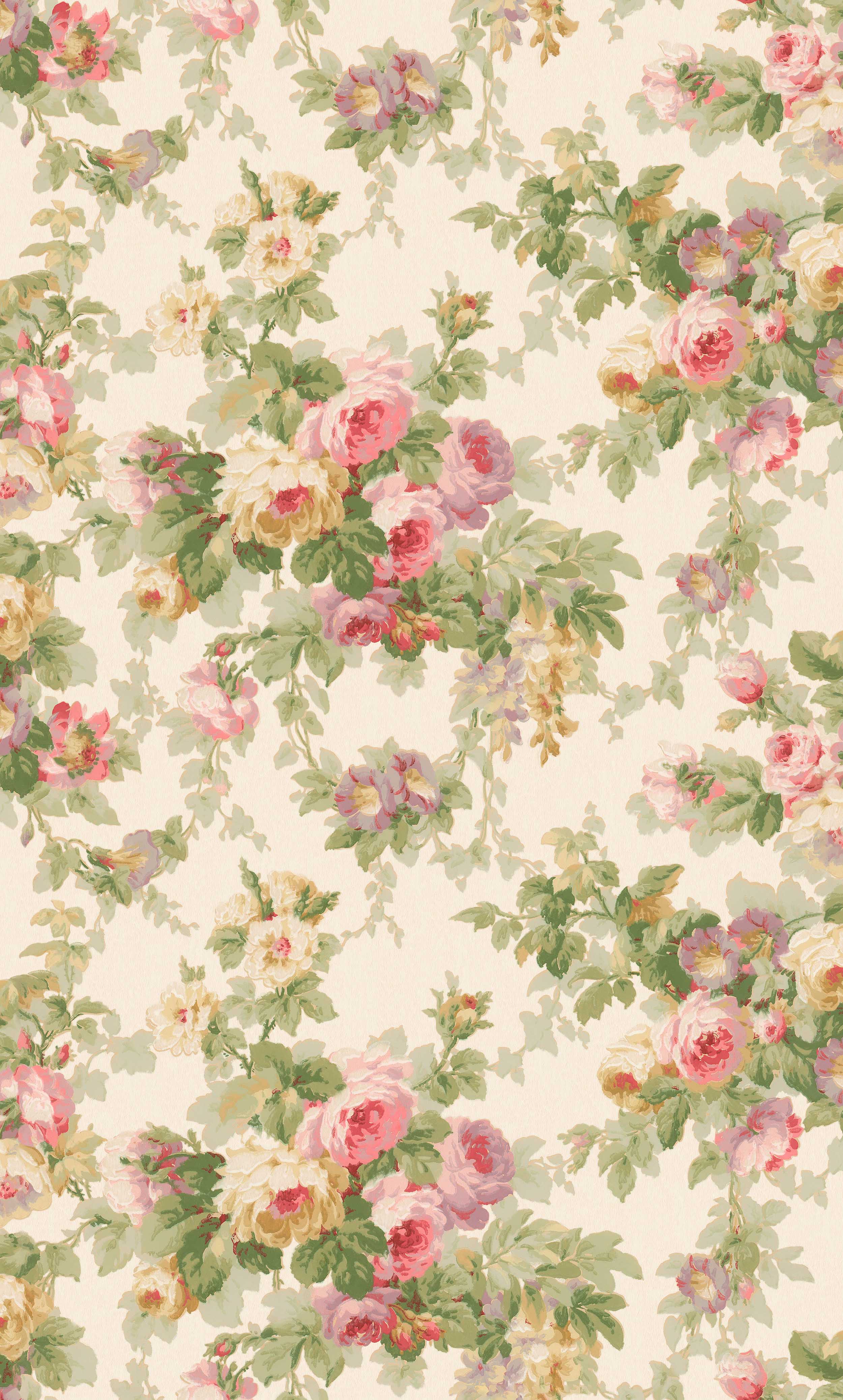 Sweet Dream Rose