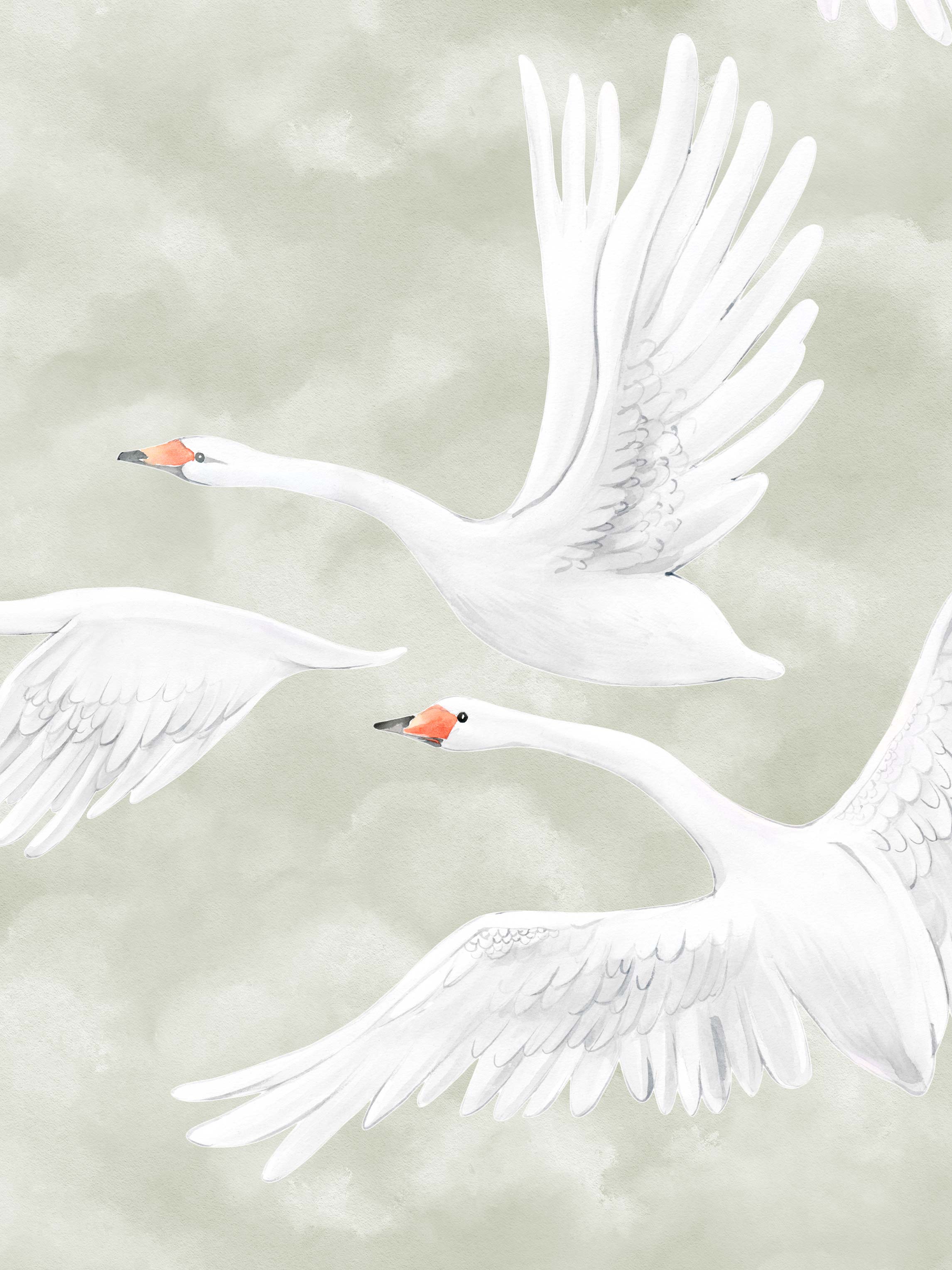 9414w_CloudsSwans_Closeup.jpg
