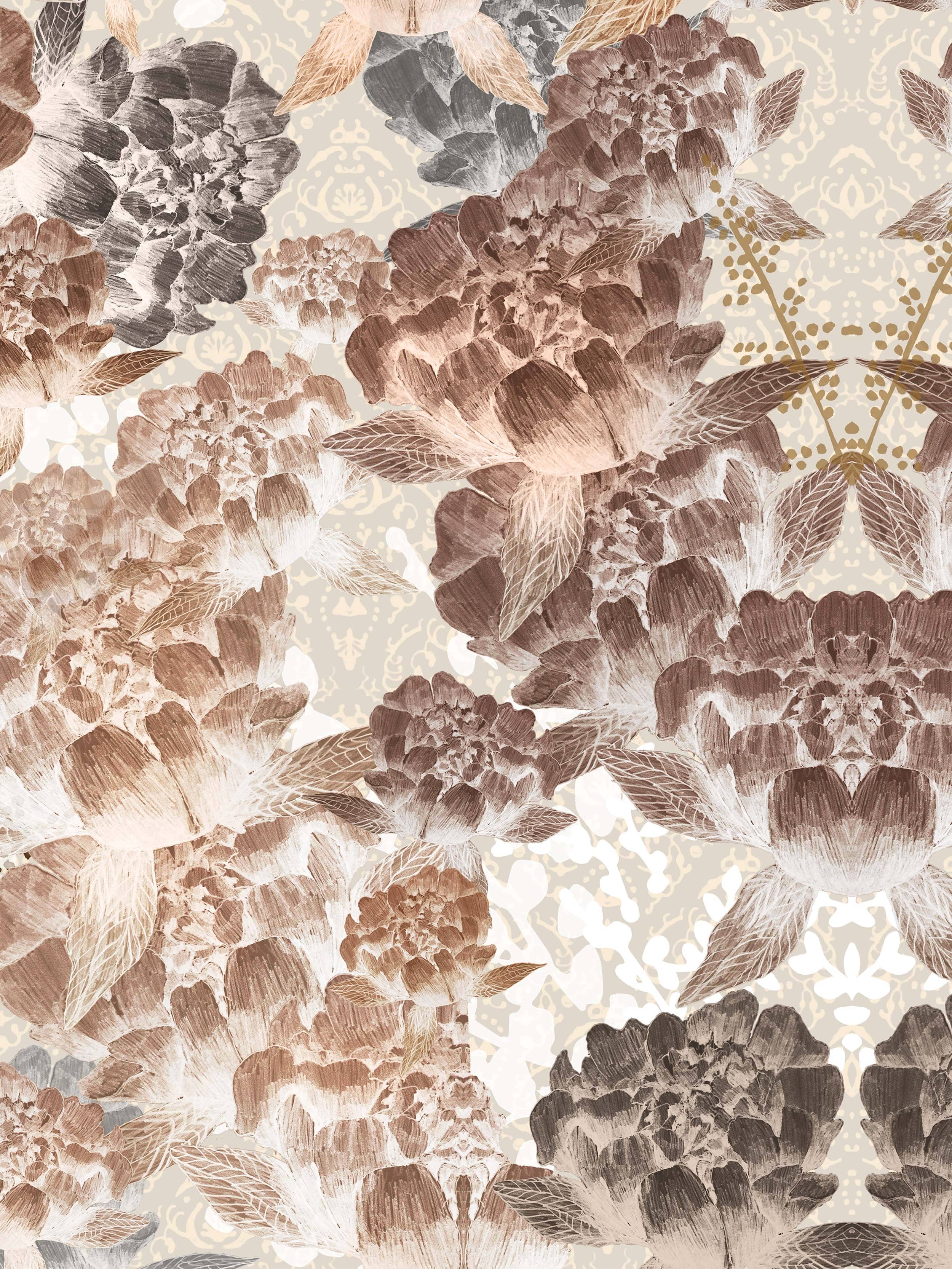 9539W_PerennialRadiance_Closeup.jpg