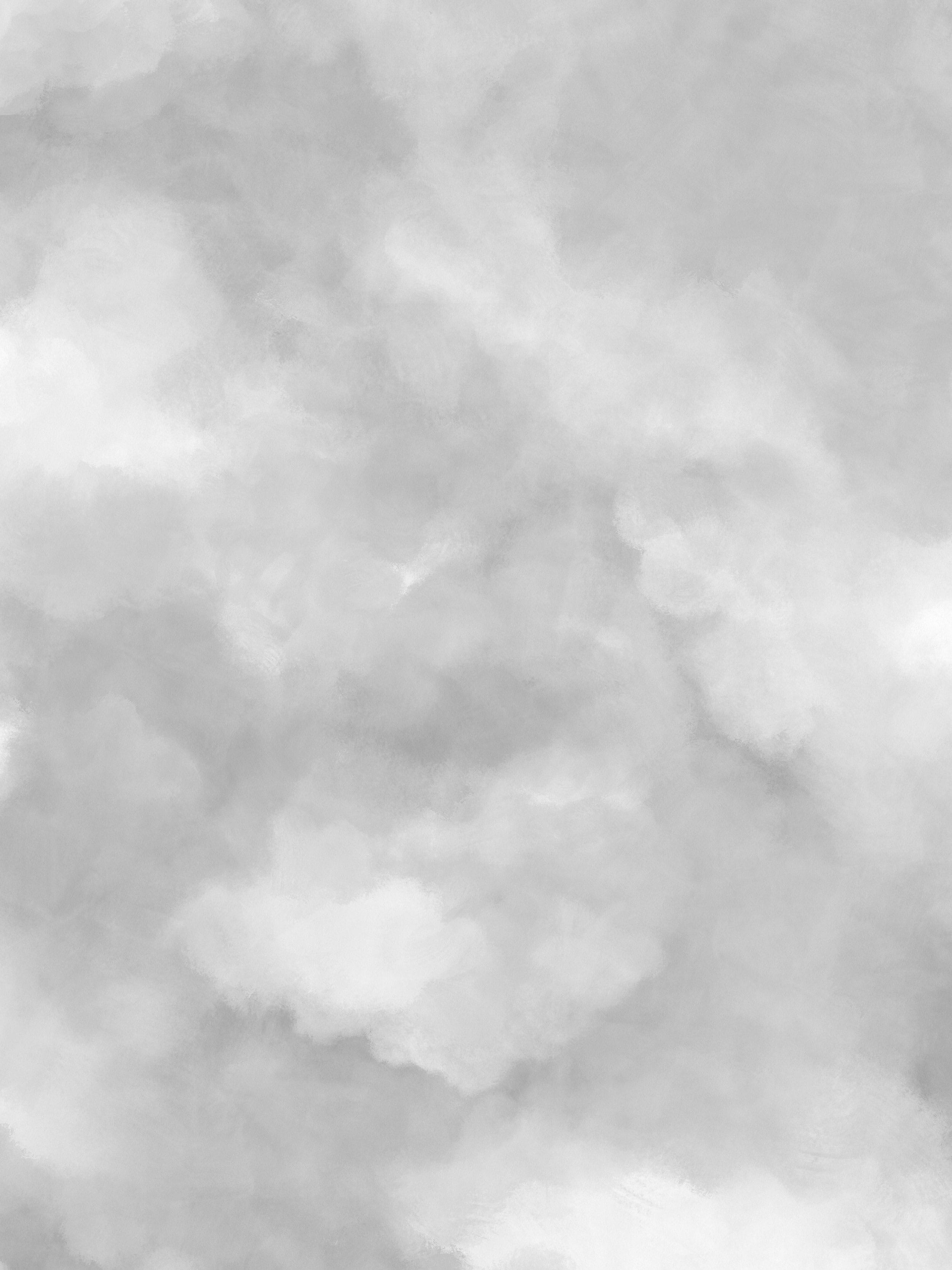 9558W_Sky_Closeup.jpg