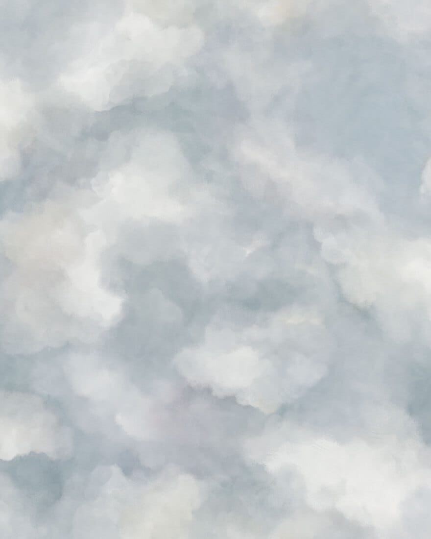 9559W_Sky_CroppedImage.jpg