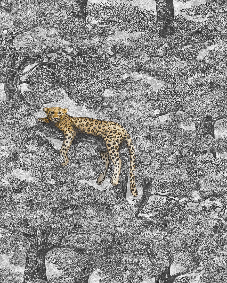 9572W_Samburu_CroppedImage.jpg