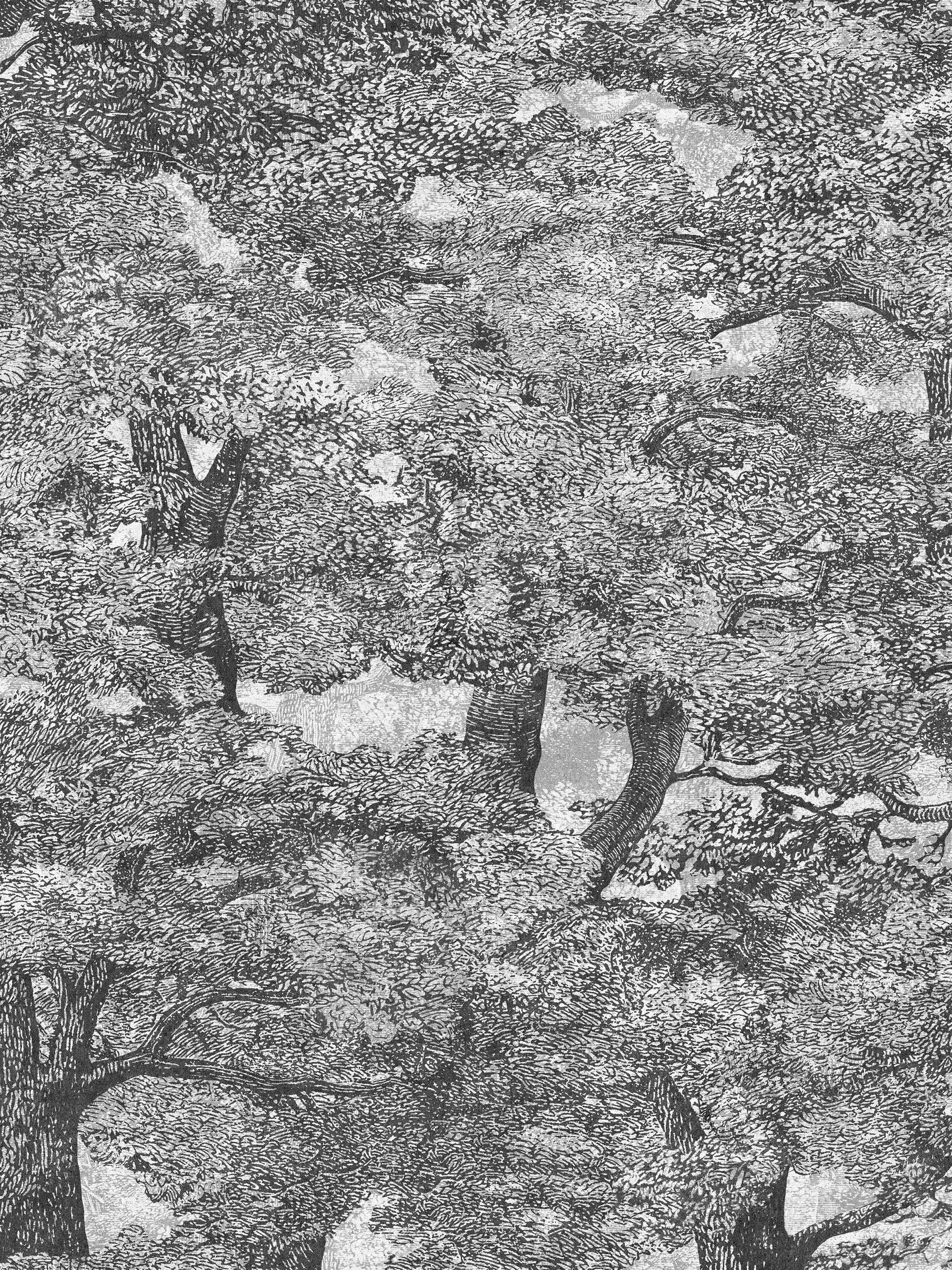 9573W_SamburuTree_Closeup.jpg