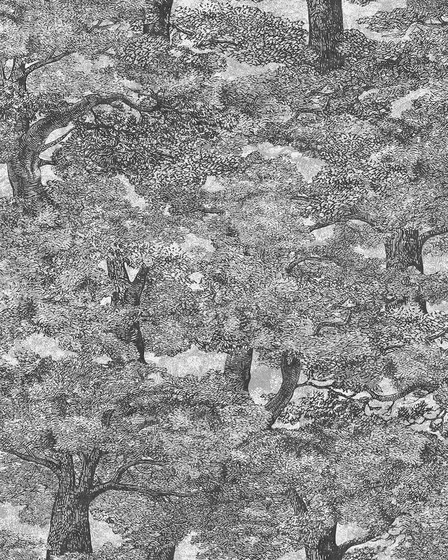 9573W_SamburuTree_CroppedImage.jpg