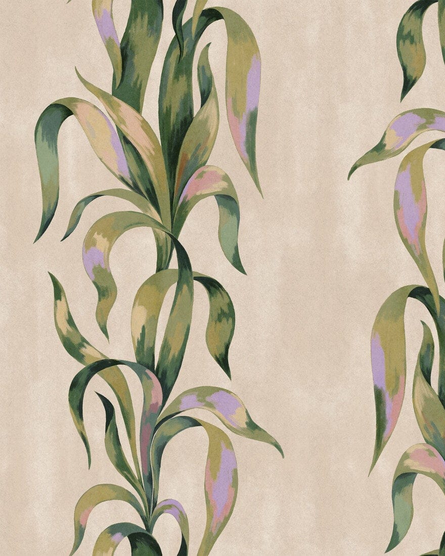 9606W_Agave_CroppedImage.jpg