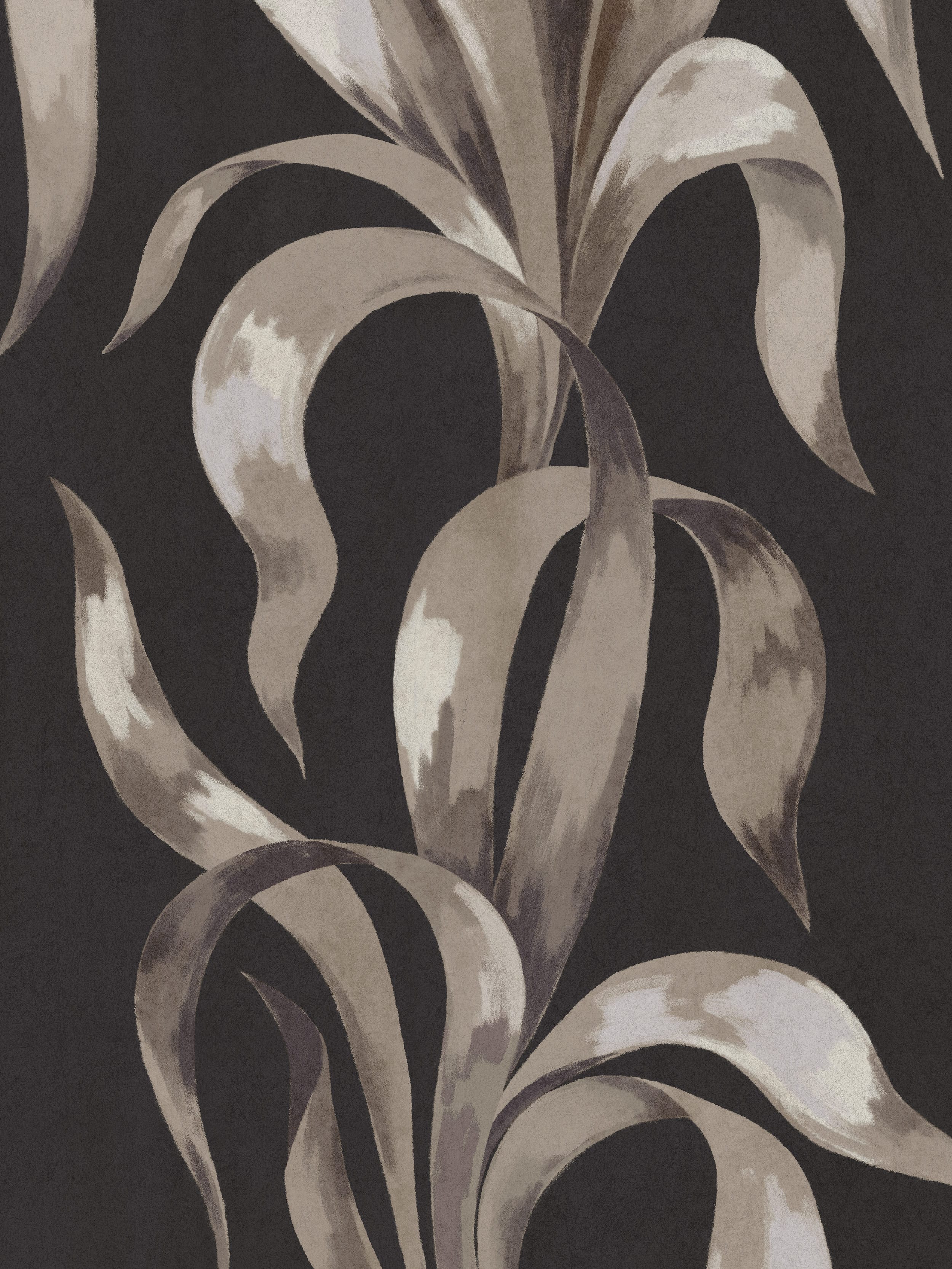 9608W_Agave_Closeup.jpg