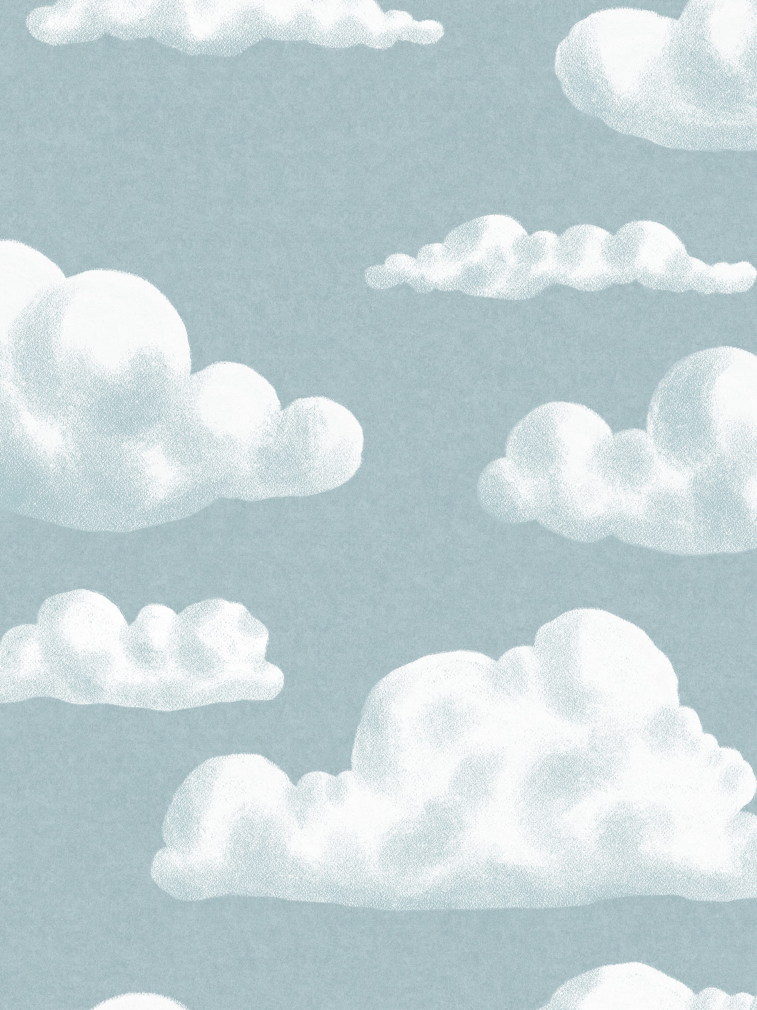 9618w_InTheClouds_Closeup.jpg