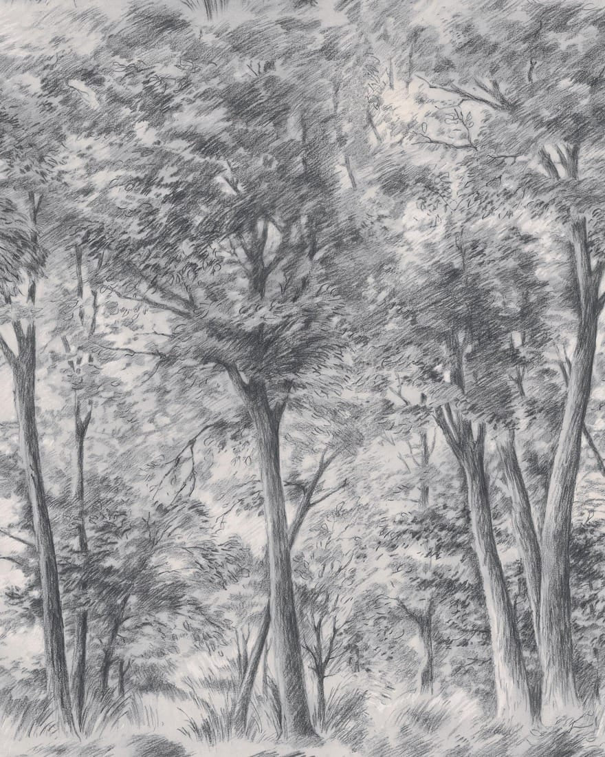 9630w_SketchofTrees_CroppedImage.jpg