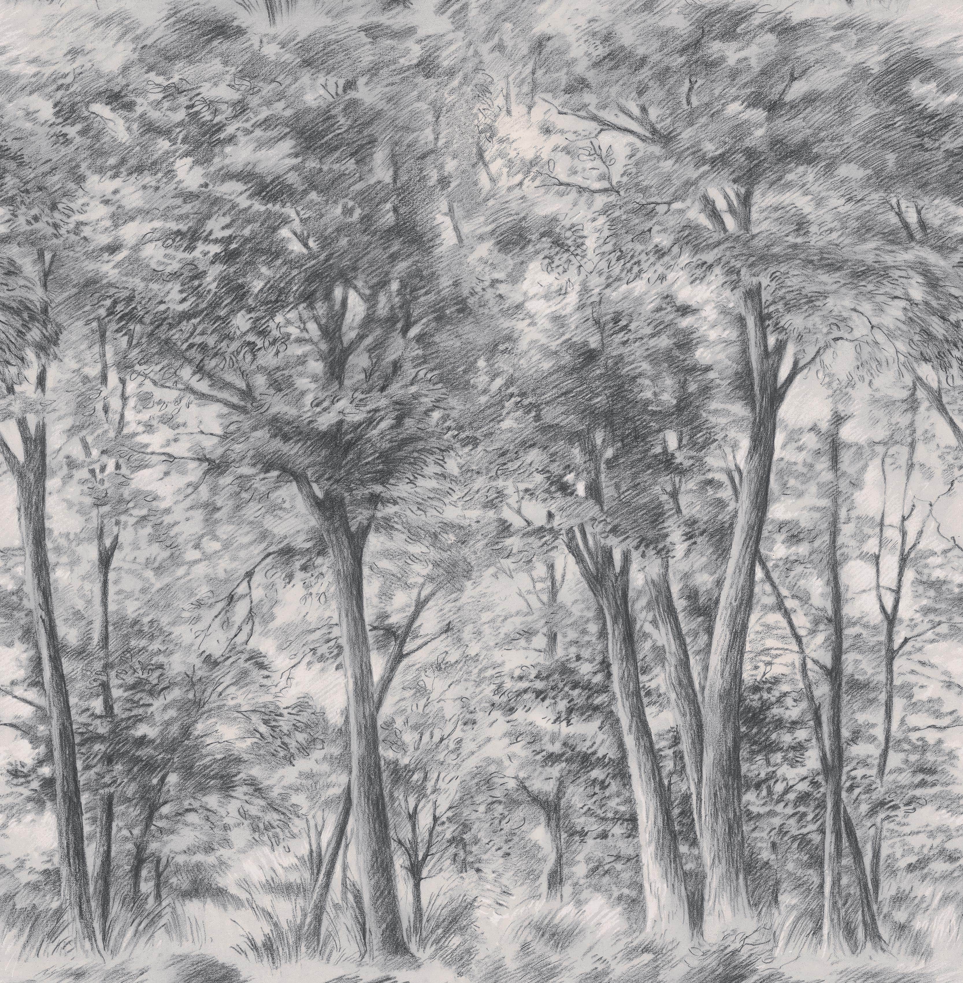 9630w_SketchofTrees_PatternImage.jpg
