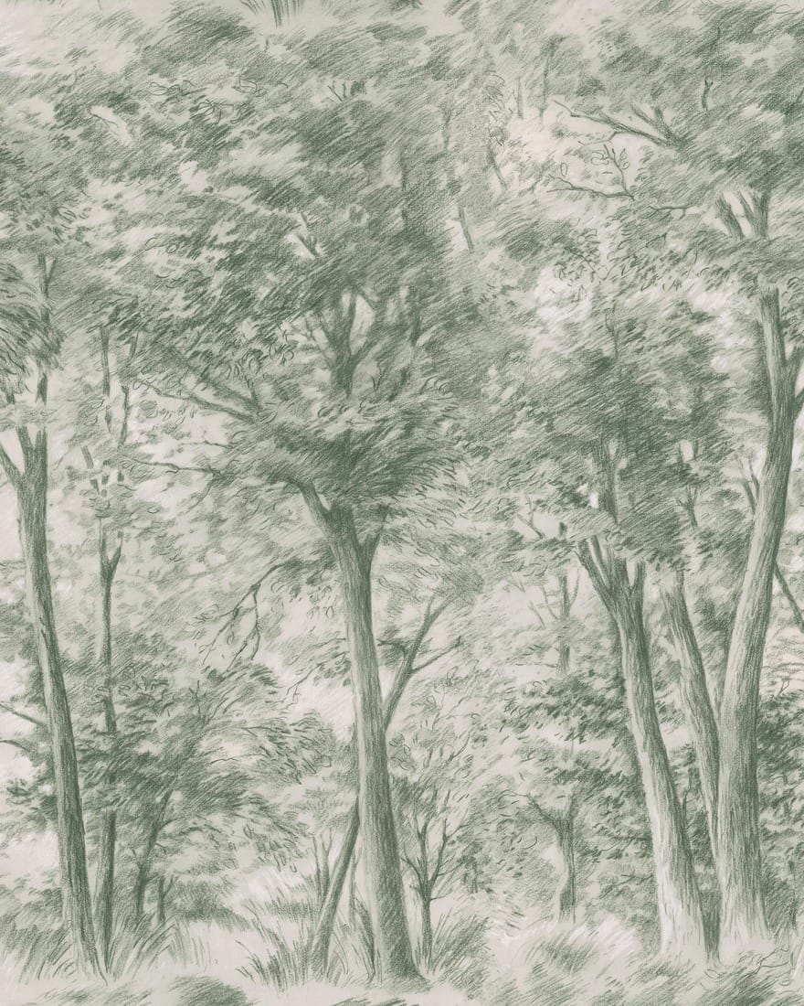 9632w_SketchofTrees_CroppedImage.jpg