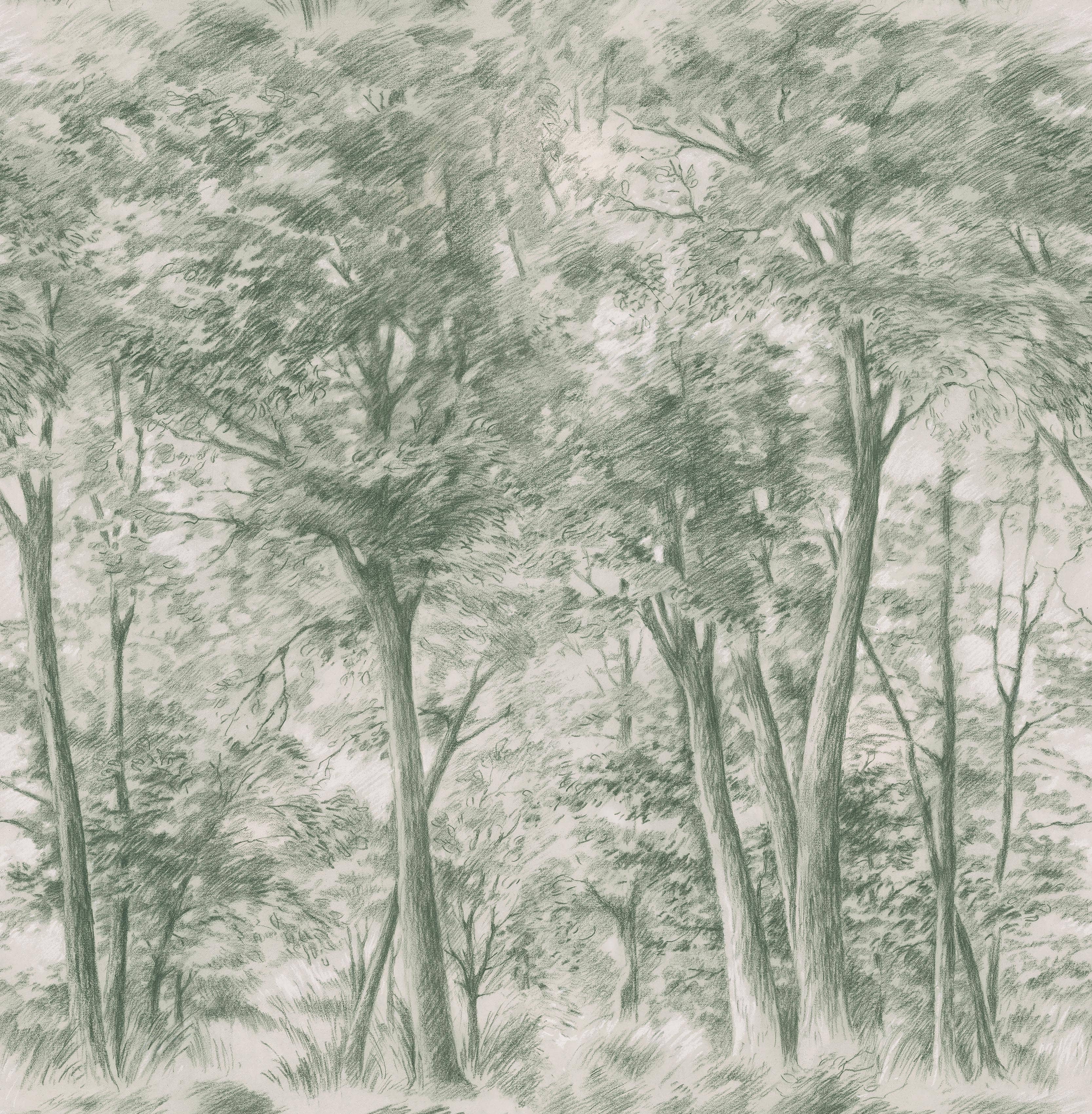 9632w_SketchofTrees_PatternImage.jpg