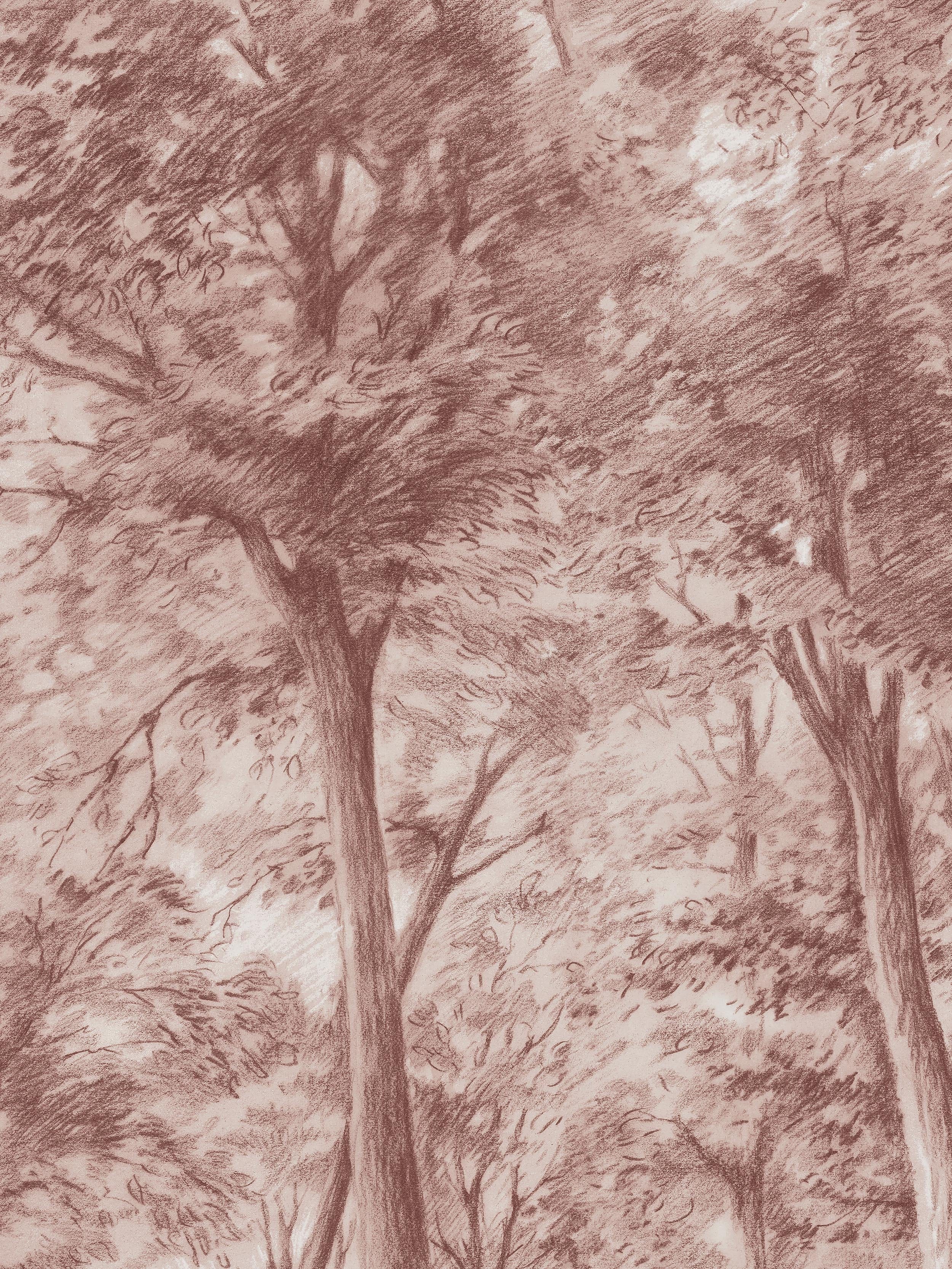 9634w_SketchofTrees_Closeup.jpg