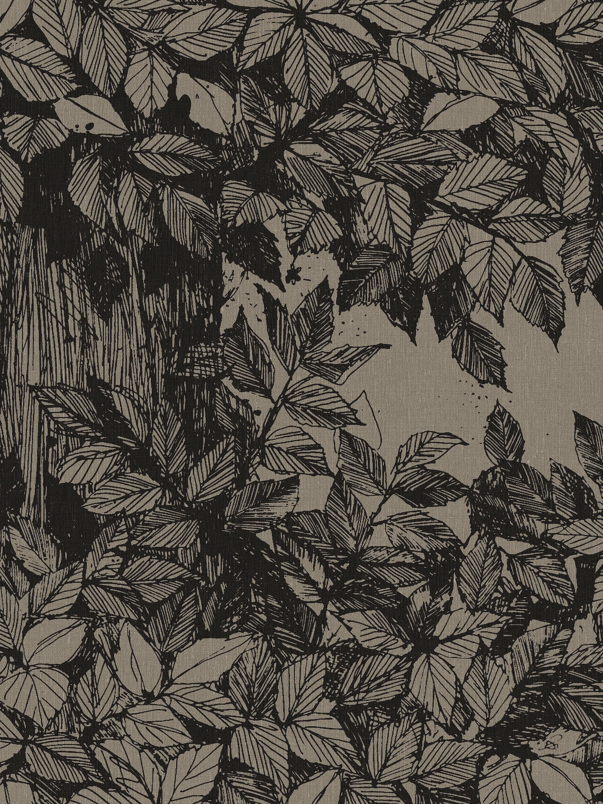 9819W_Hassel_Closeup.jpg