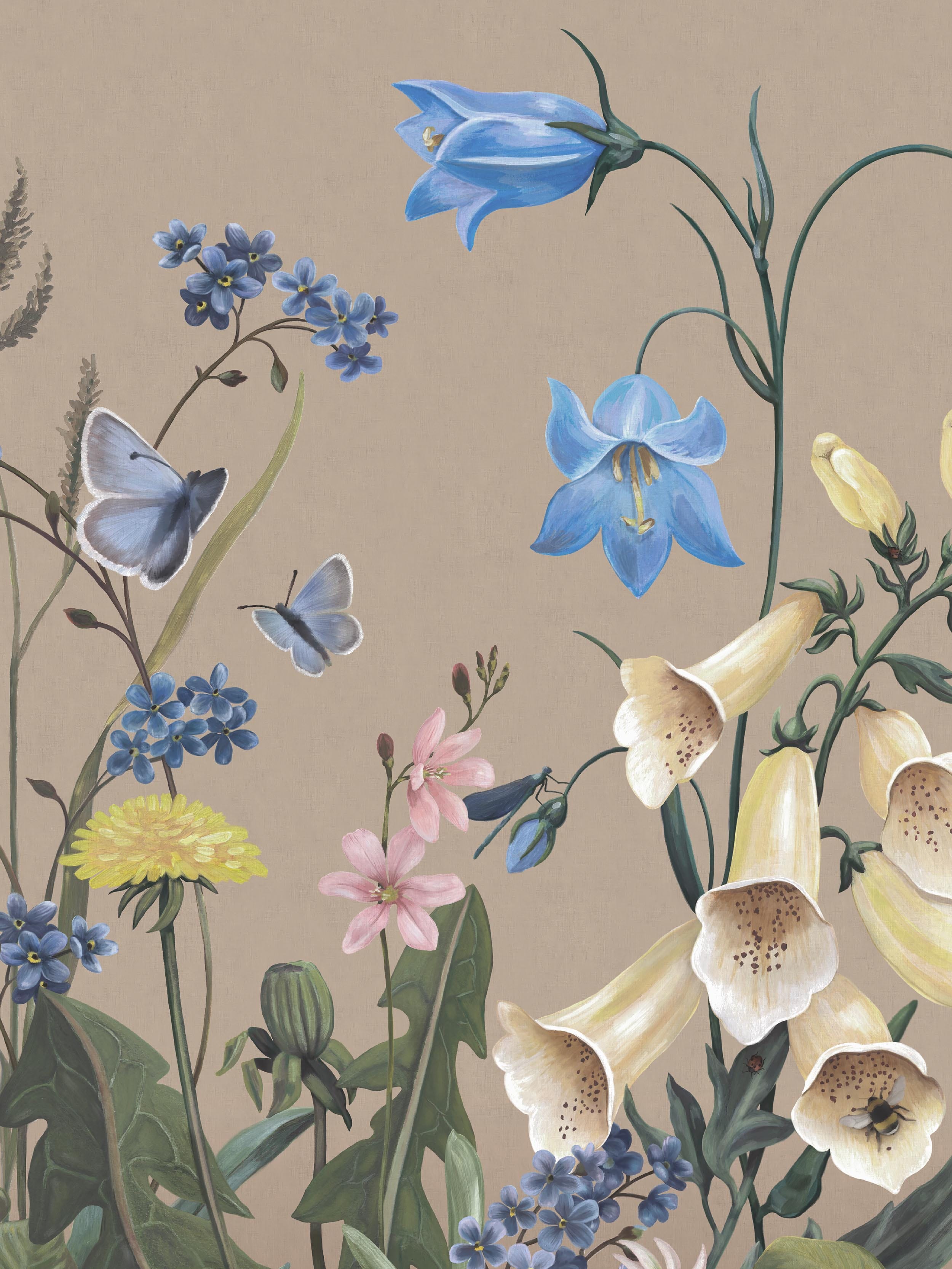 Bluebell Magic