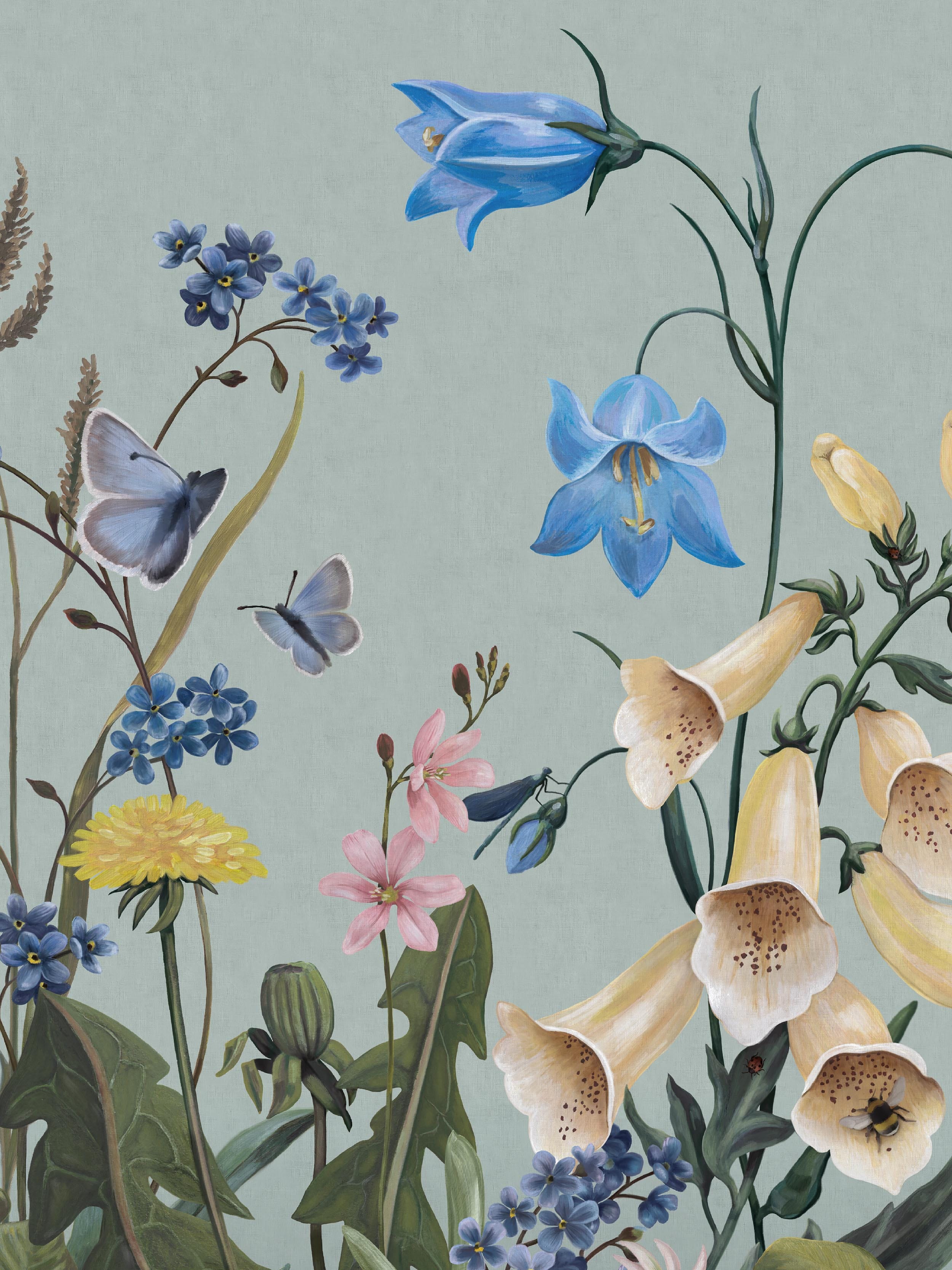 Bluebell Magic