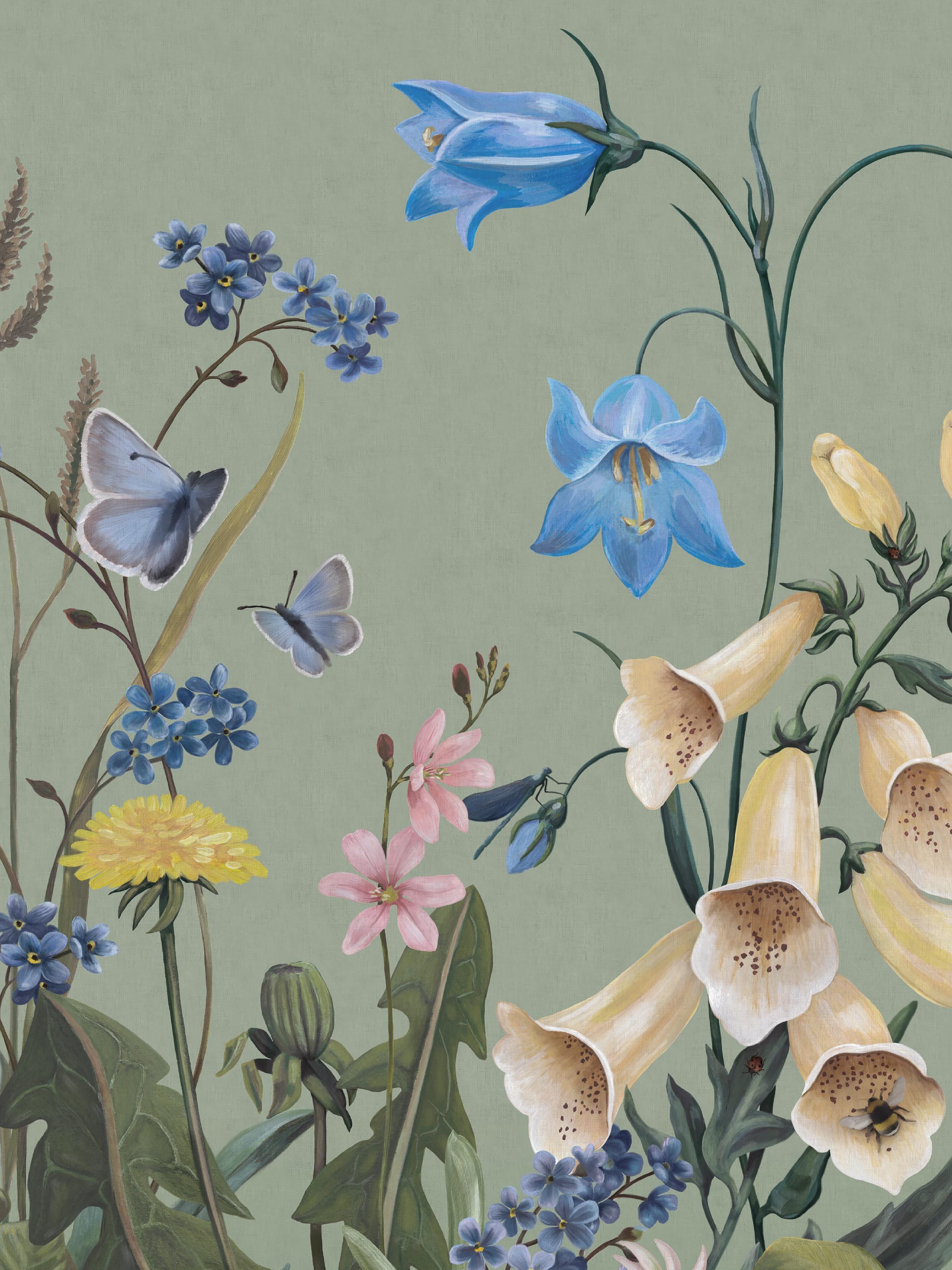 Bluebell Magic