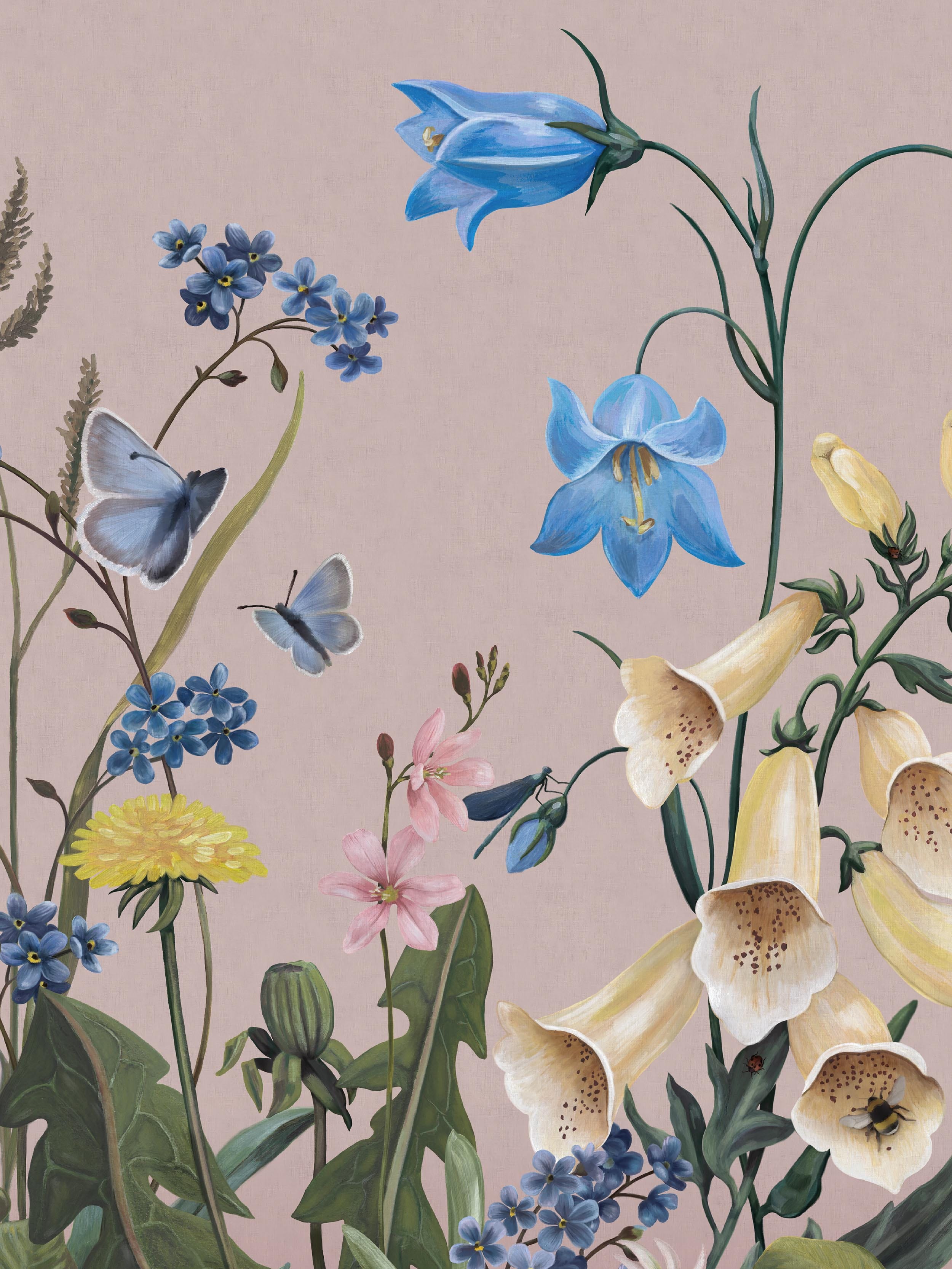 Bluebell Magic