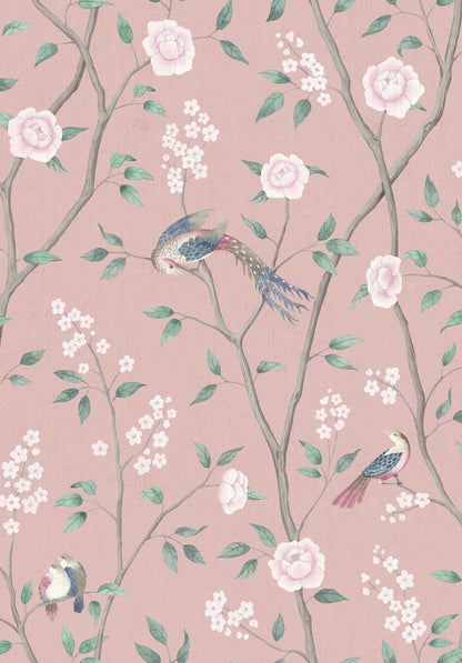 1901_ParadiseBirds_Closeup.jpg