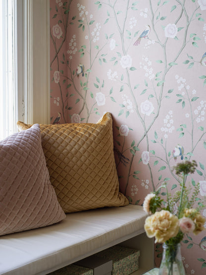 1901_ParadiseBirds_Roomshot_2.jpg