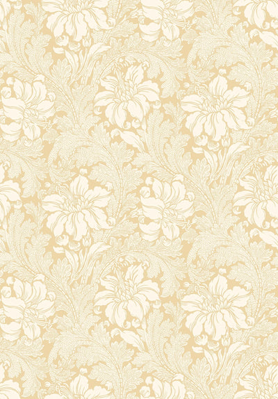 swatch image for Acanthus