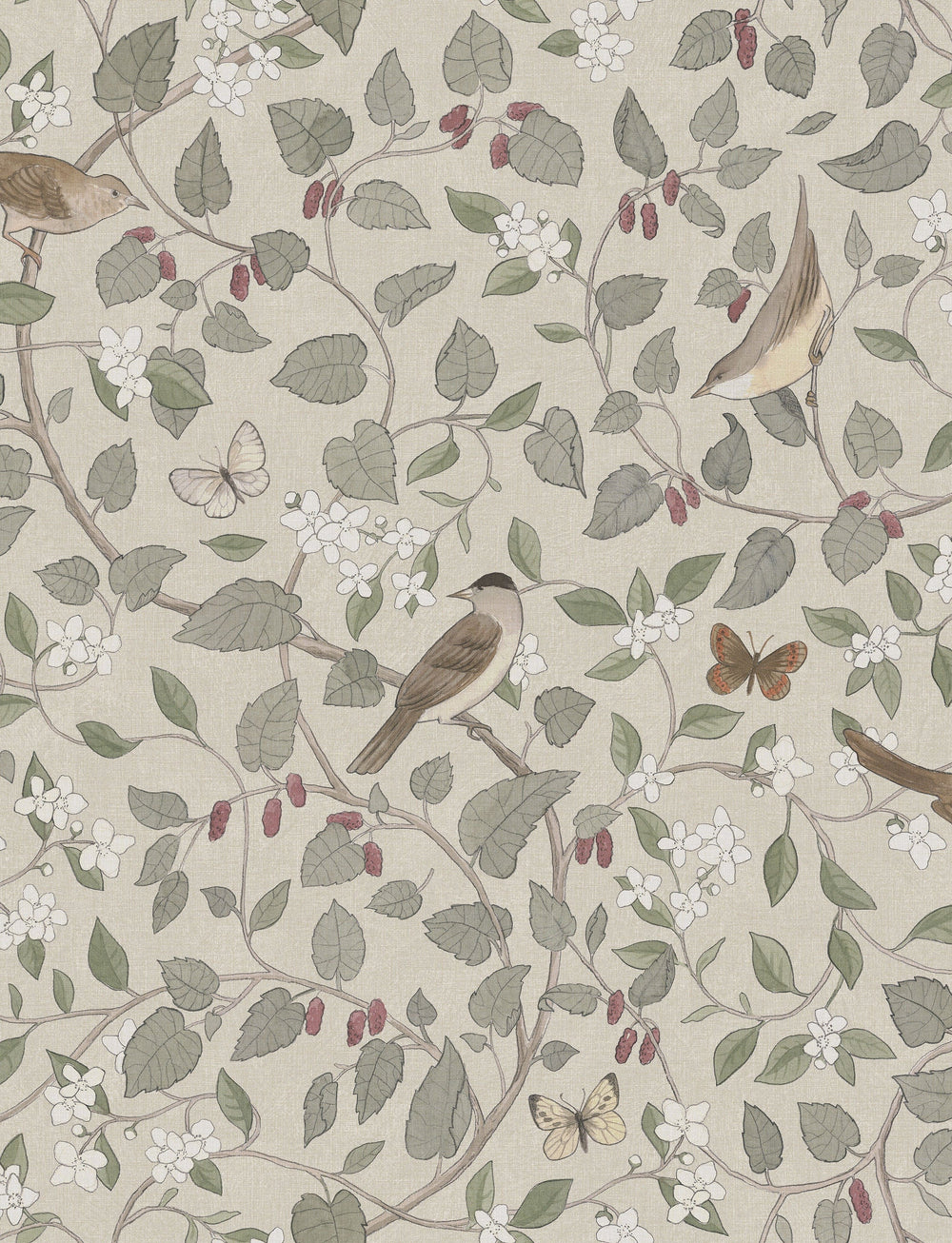 Wallpaper sample A4 Songbirds – Boråstapeter