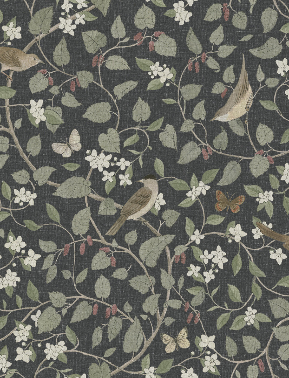 A4 wallpaper sample Songbirds – Boråstapeter