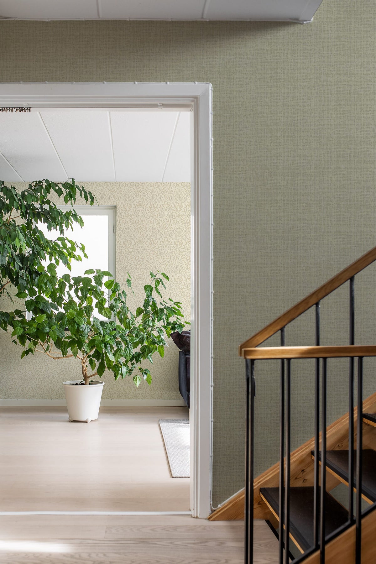 4188_Vivalla-1_Roomshot_Hall.jpg