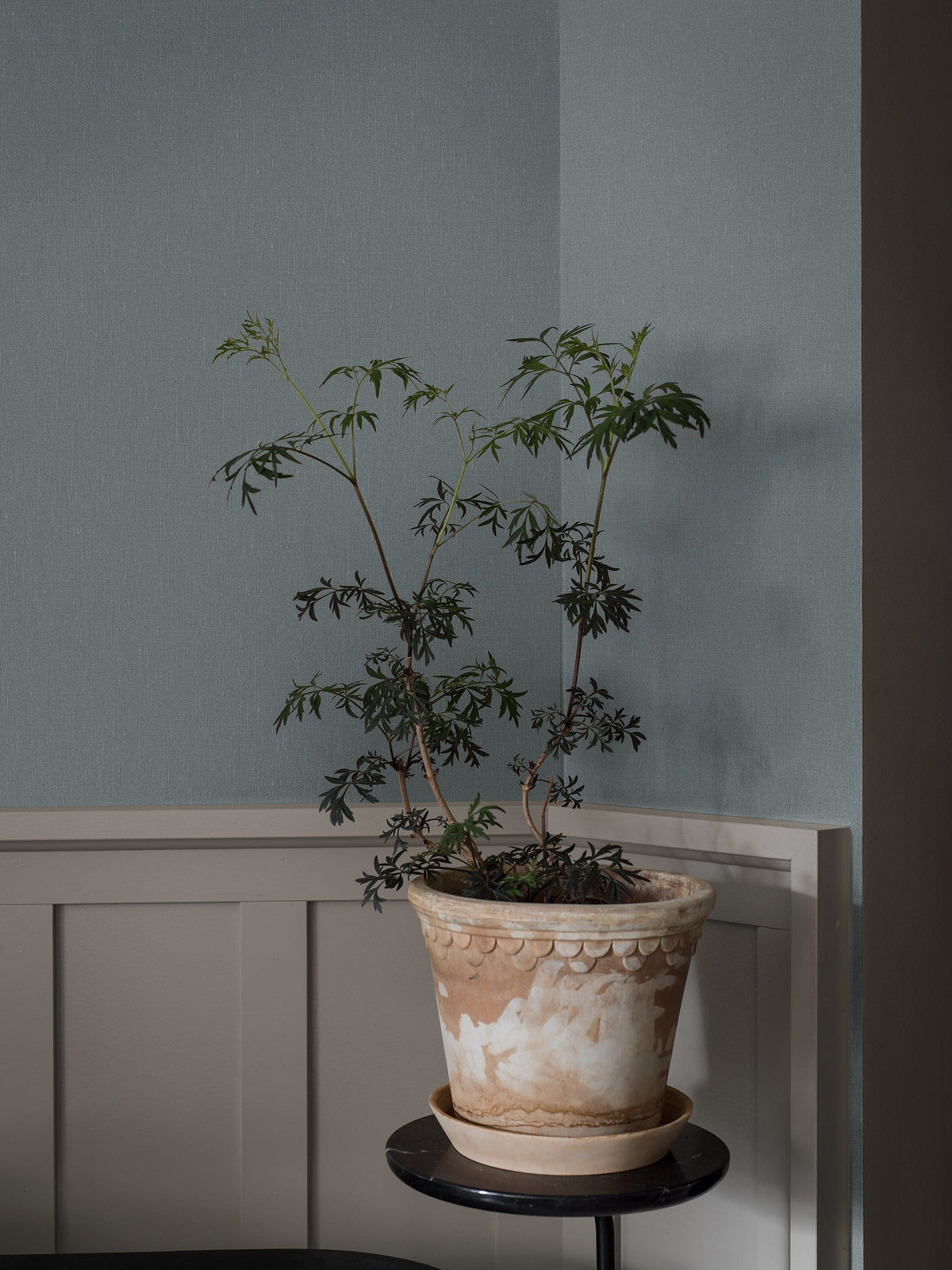 4330_Dusty_Denim-1_Roomshot_Hallway.jpg
