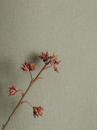 4335_Soft_Olive-6_Roomshot_DiningArea.jpg