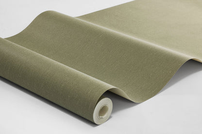 Deep Olive